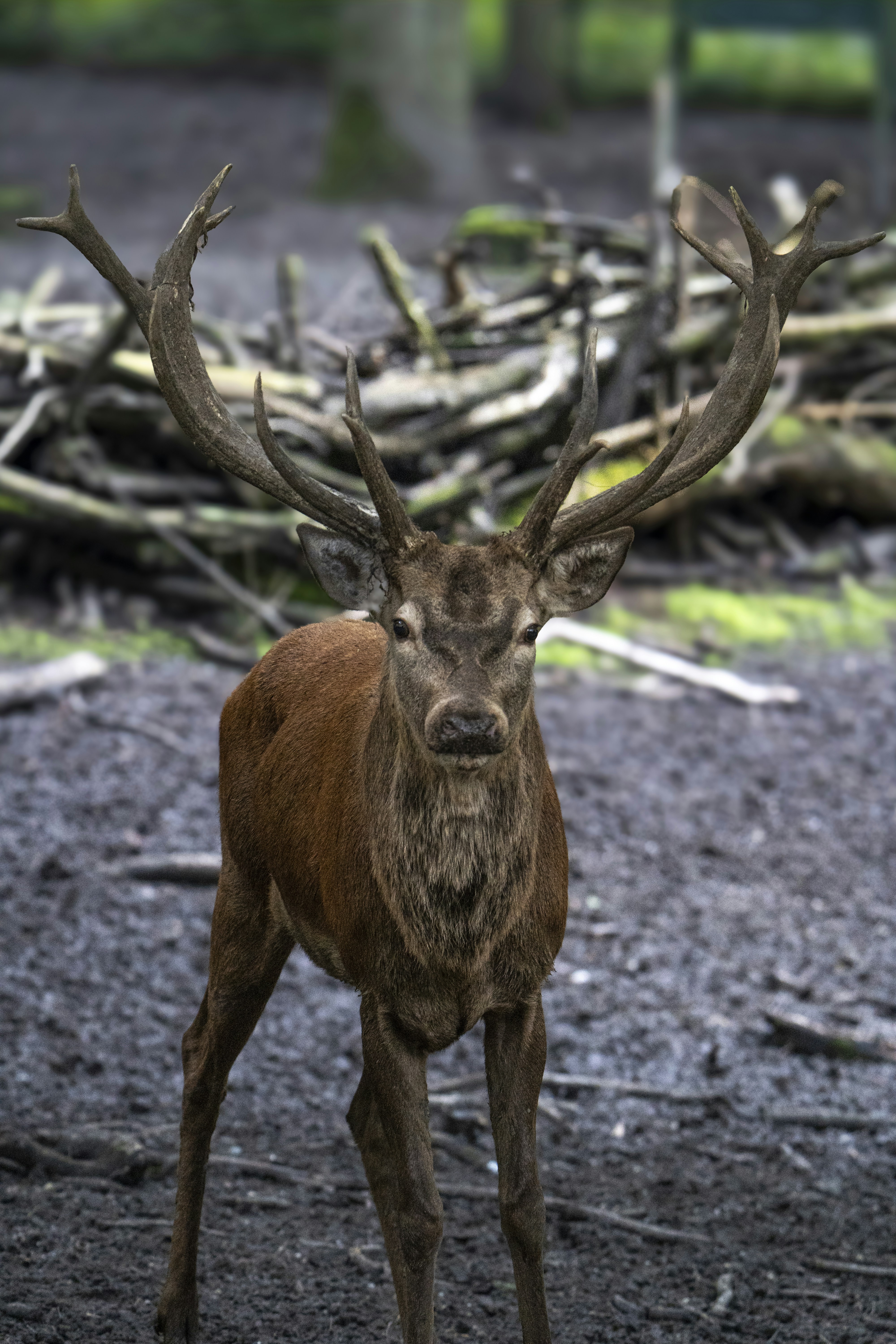 Photo by breadcrumbs