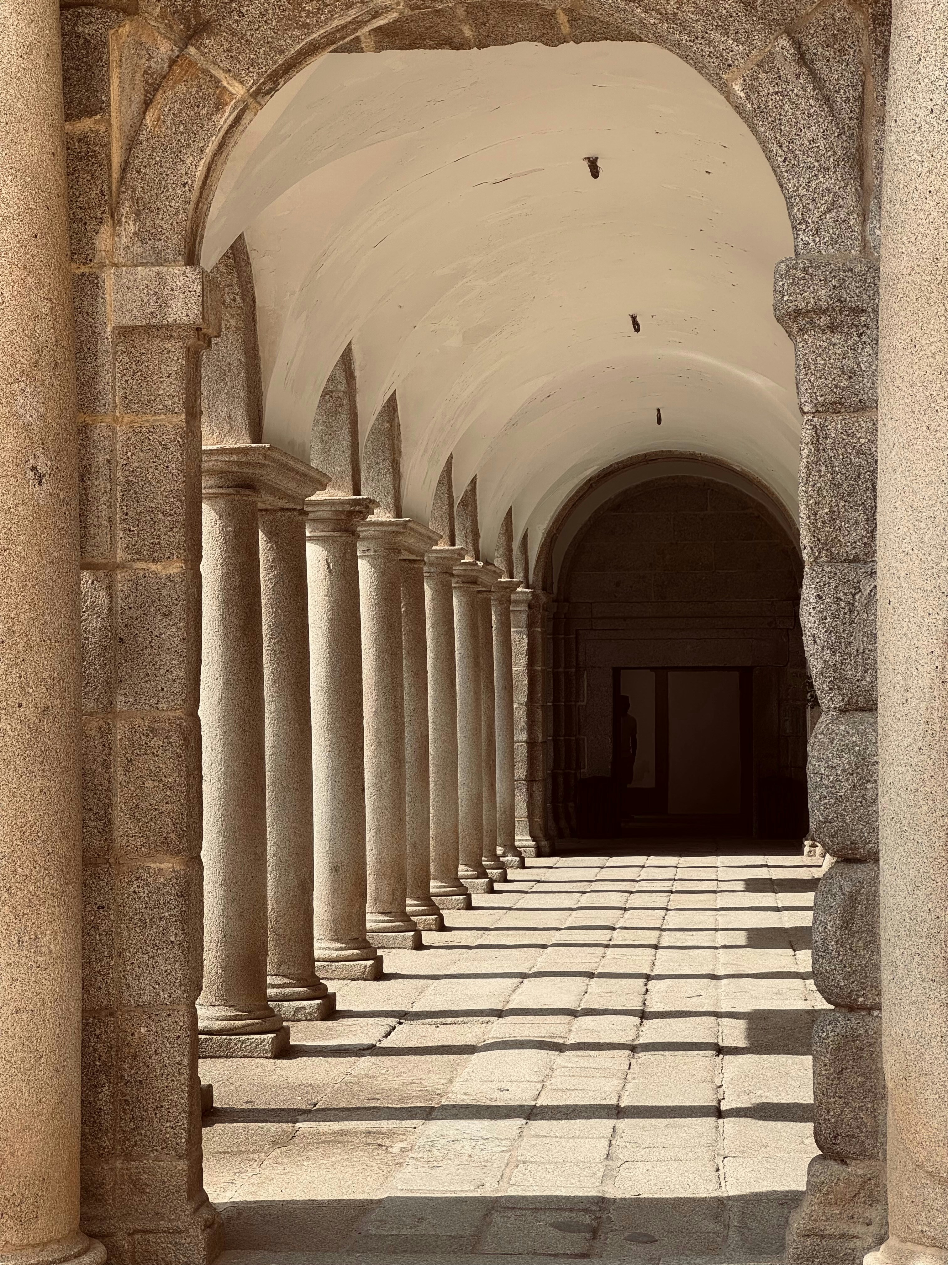 Photo by terence1994