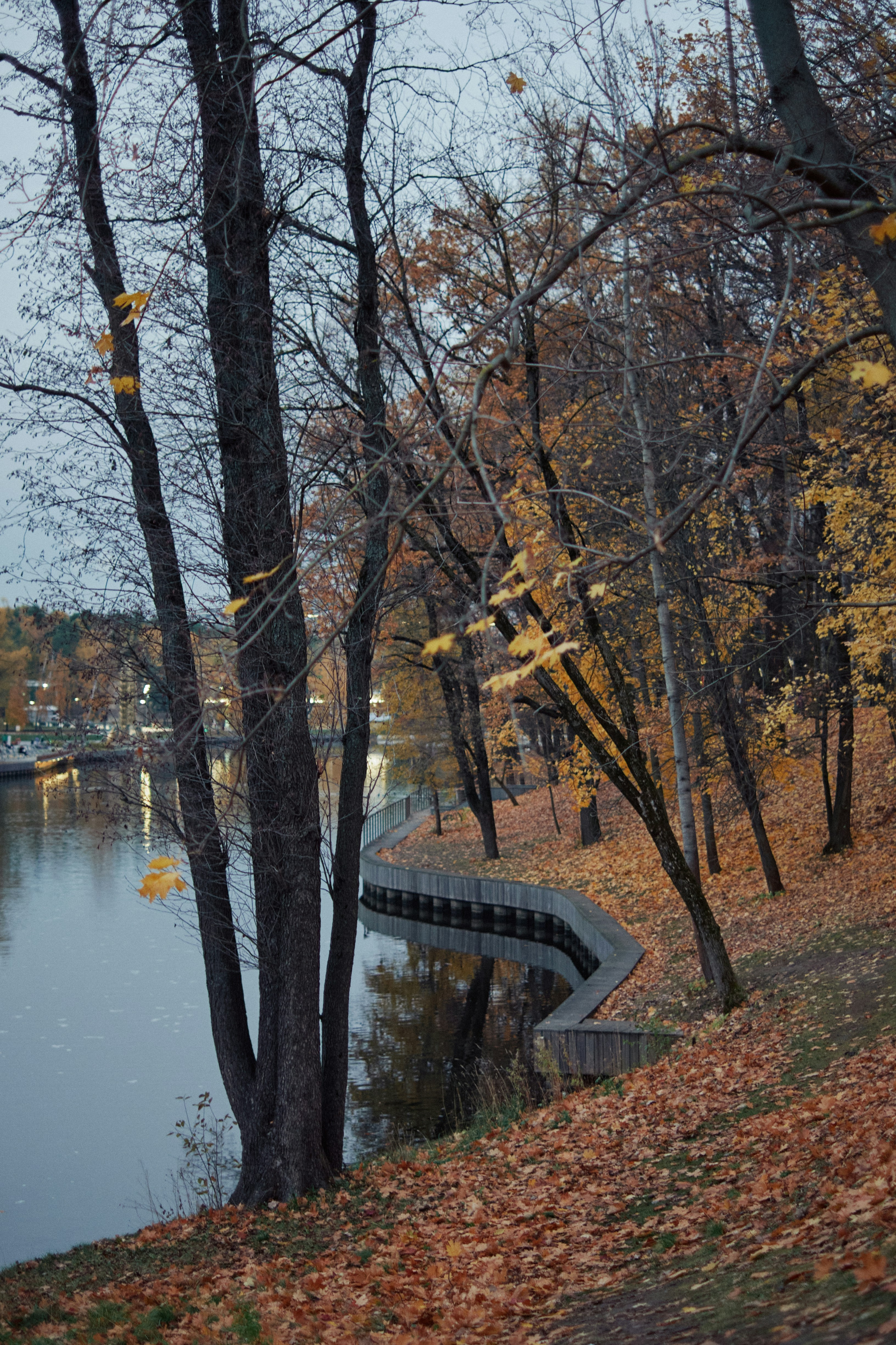 Photo by jasper95