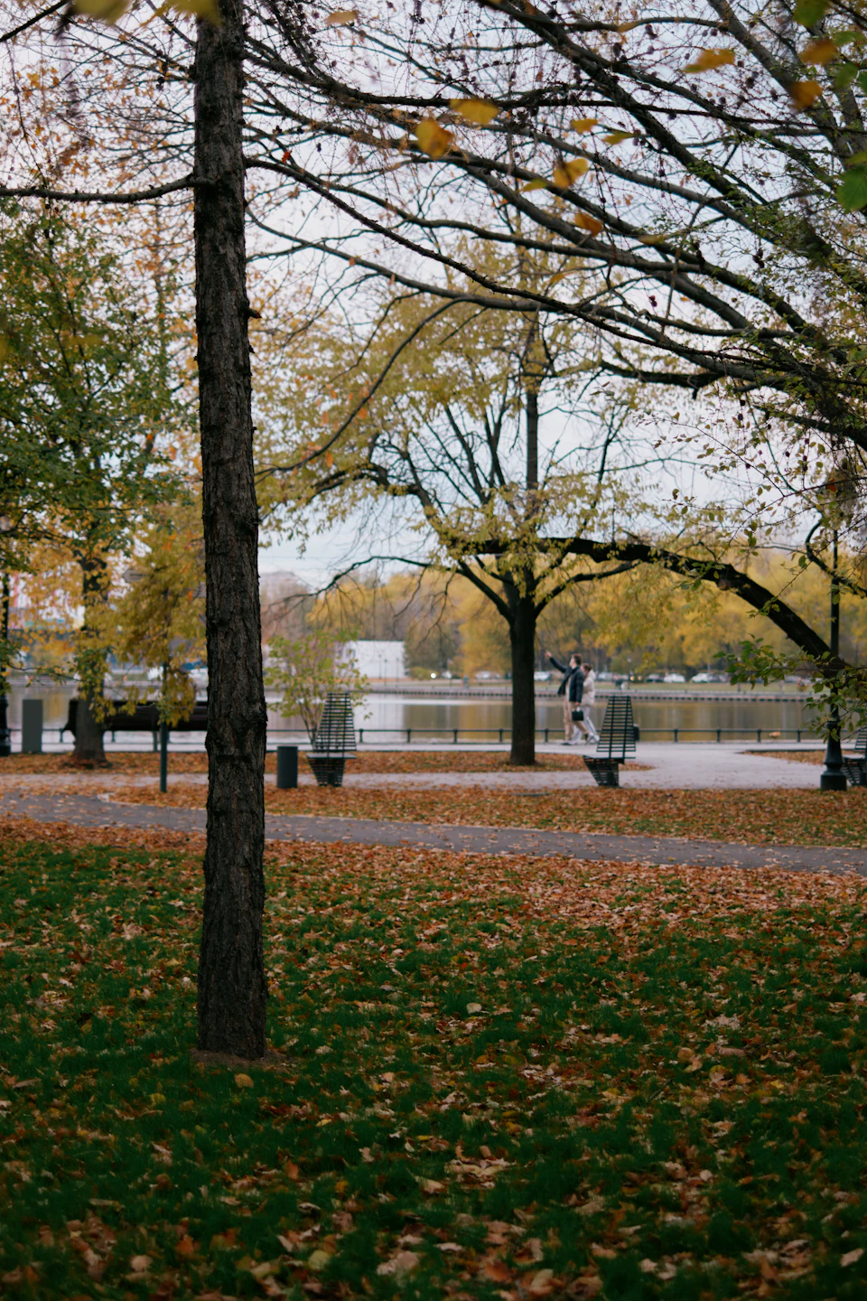 The image depicts a serene autumn day at a park, with trees adorned in vibrant hues of yellow and orange leaves scattered across the grassy area. The sky above is overcast, casting a soft light on the scene below. In the foreground, there are two individuals walking along a path that cuts through the park. One person is closer to the viewer, while the other is further away, adding depth to the image. A bench can be seen in the background, providing a place for visitors to sit and enjoy the beauty of the season.