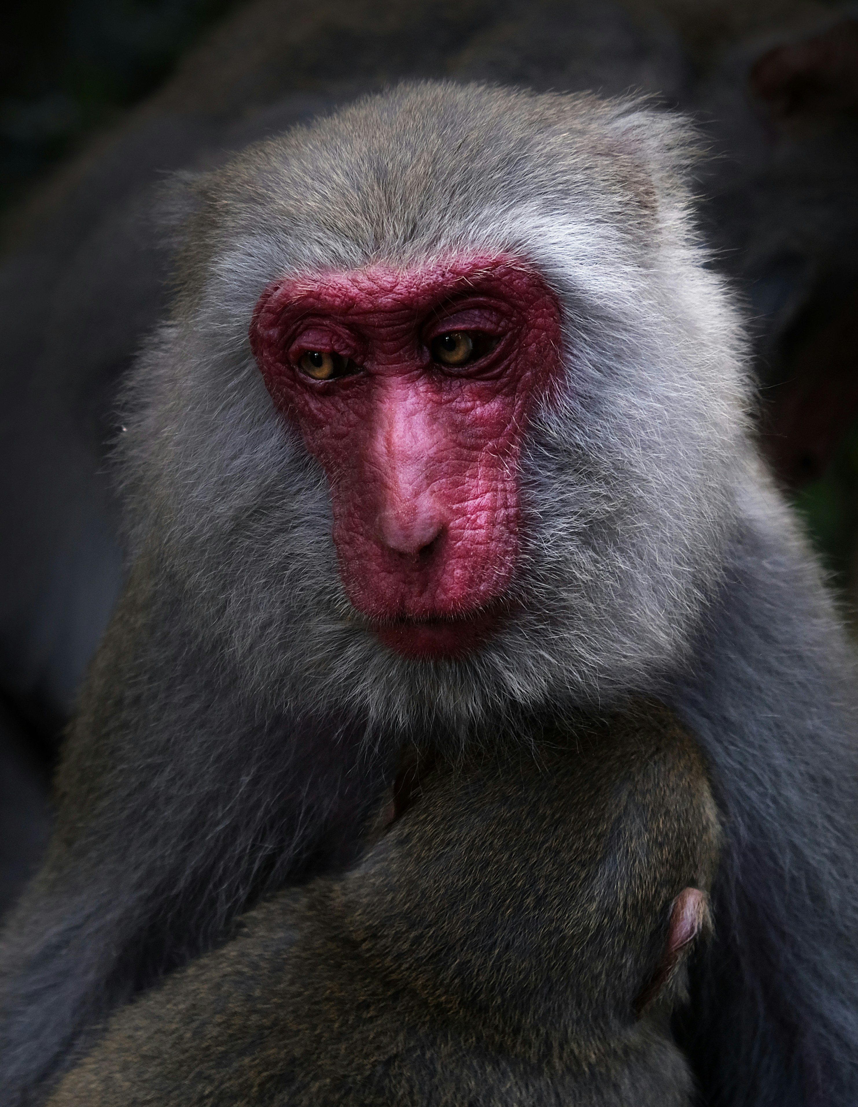 Photo by pierreperraut