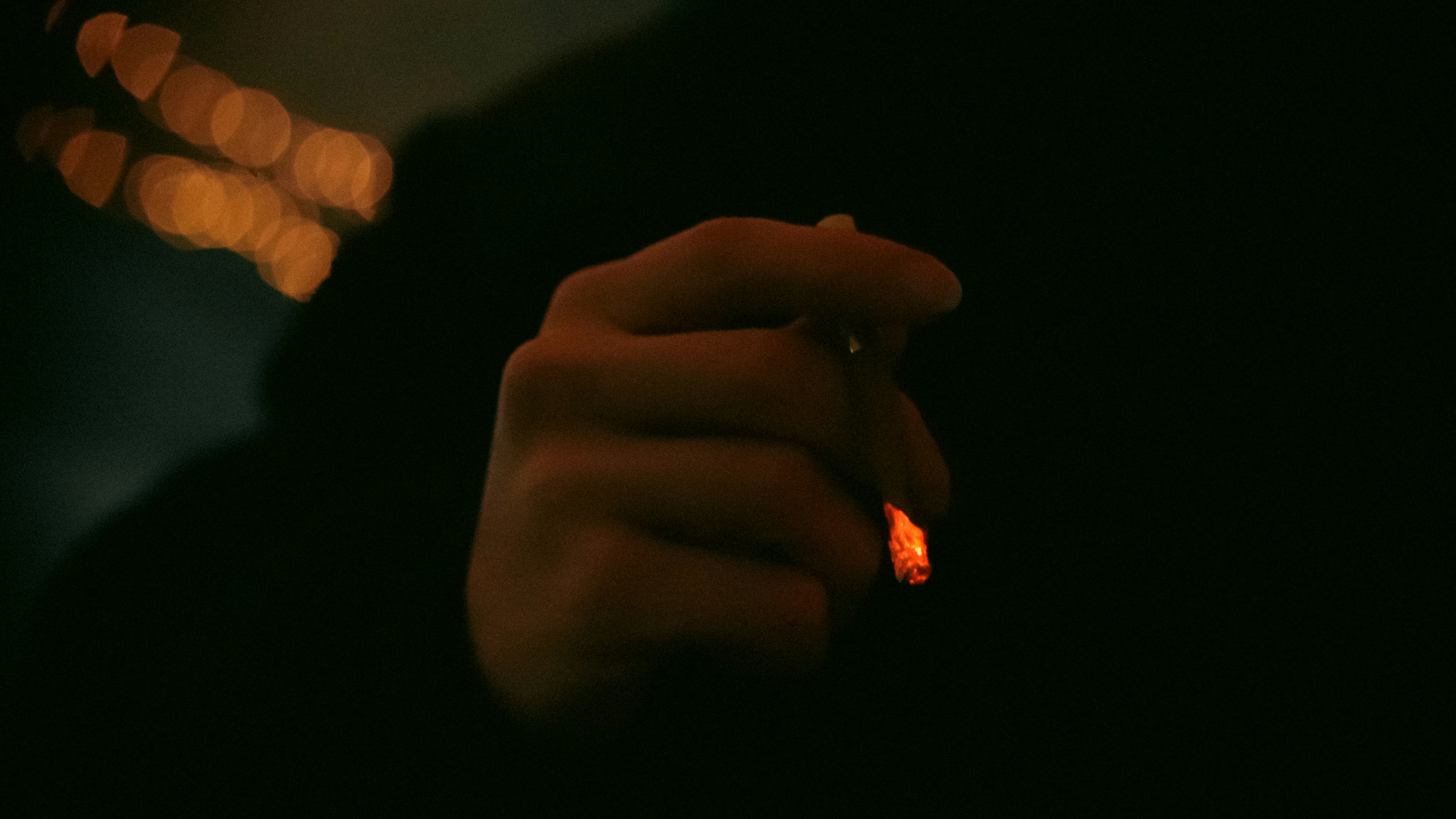 photo taken with Sony Alpha ILCE-7RM4, lens Sigma 56