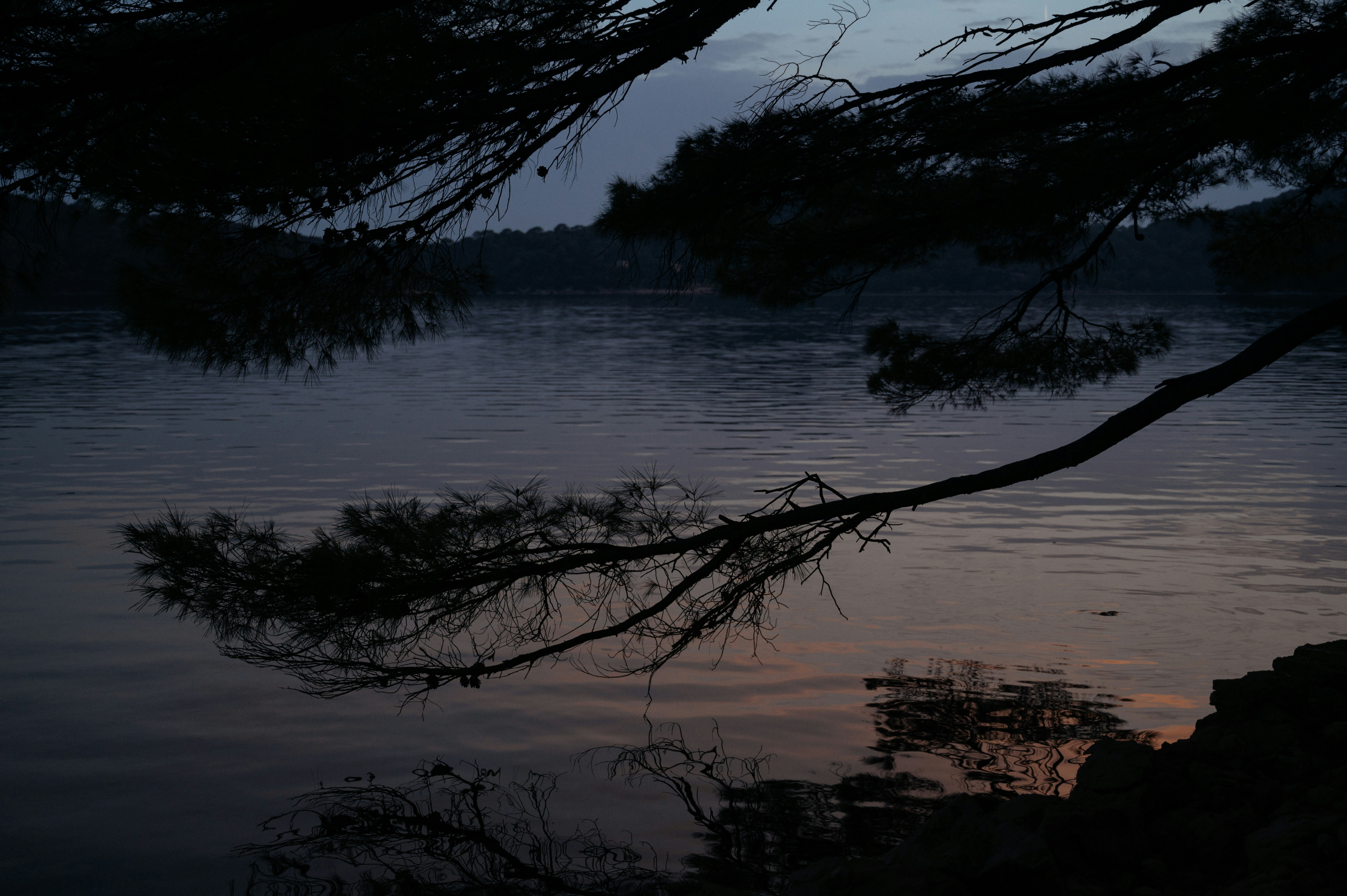 Yosa Buson, "The old fisherman"