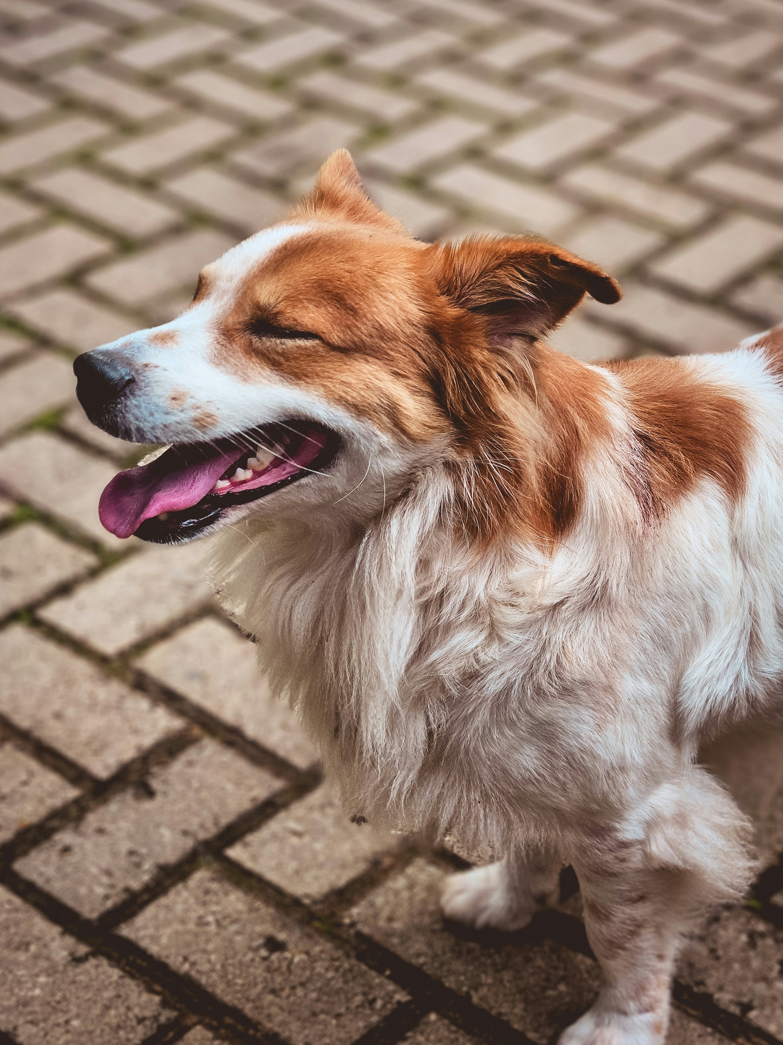 Photo by gustavocordeiro