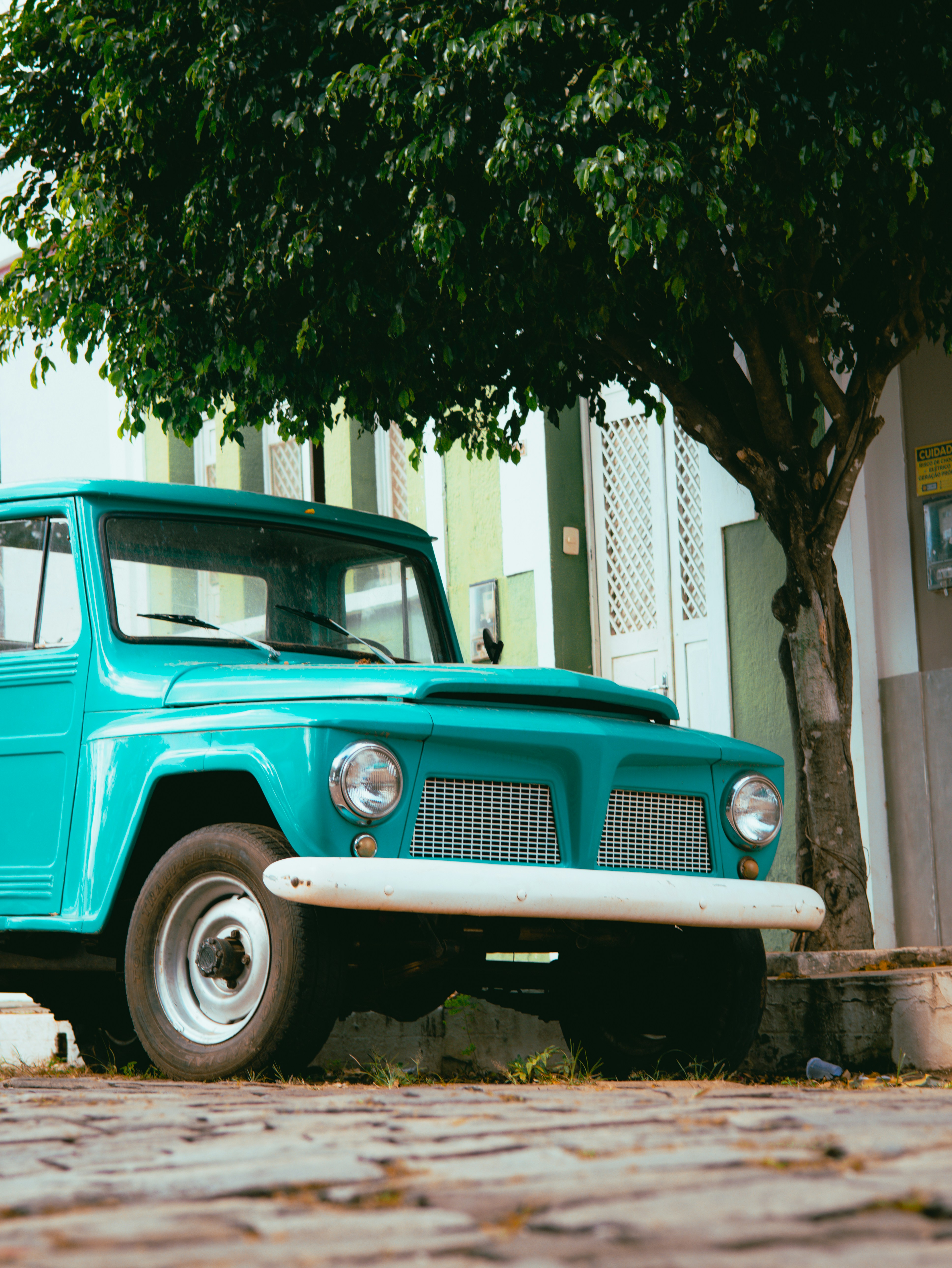 Photo by gustavocordeiro