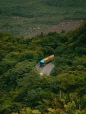 A blue bus driving down a road surrounded by lush green trees