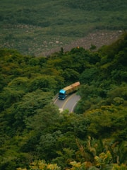 A blue bus driving down a road surrounded by lush green trees