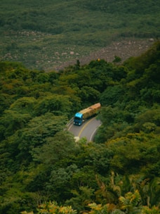 A blue bus driving down a road surrounded by lush green trees