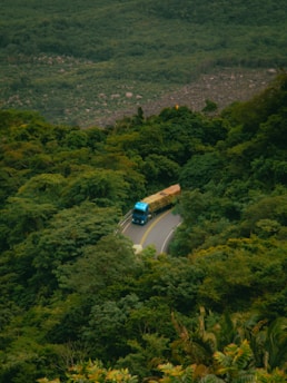 A blue bus driving down a road surrounded by lush green trees