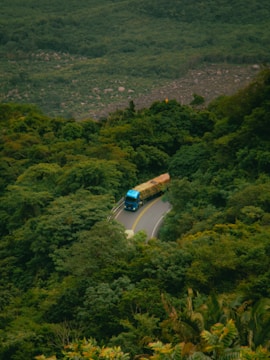 A blue bus driving down a road surrounded by lush green trees