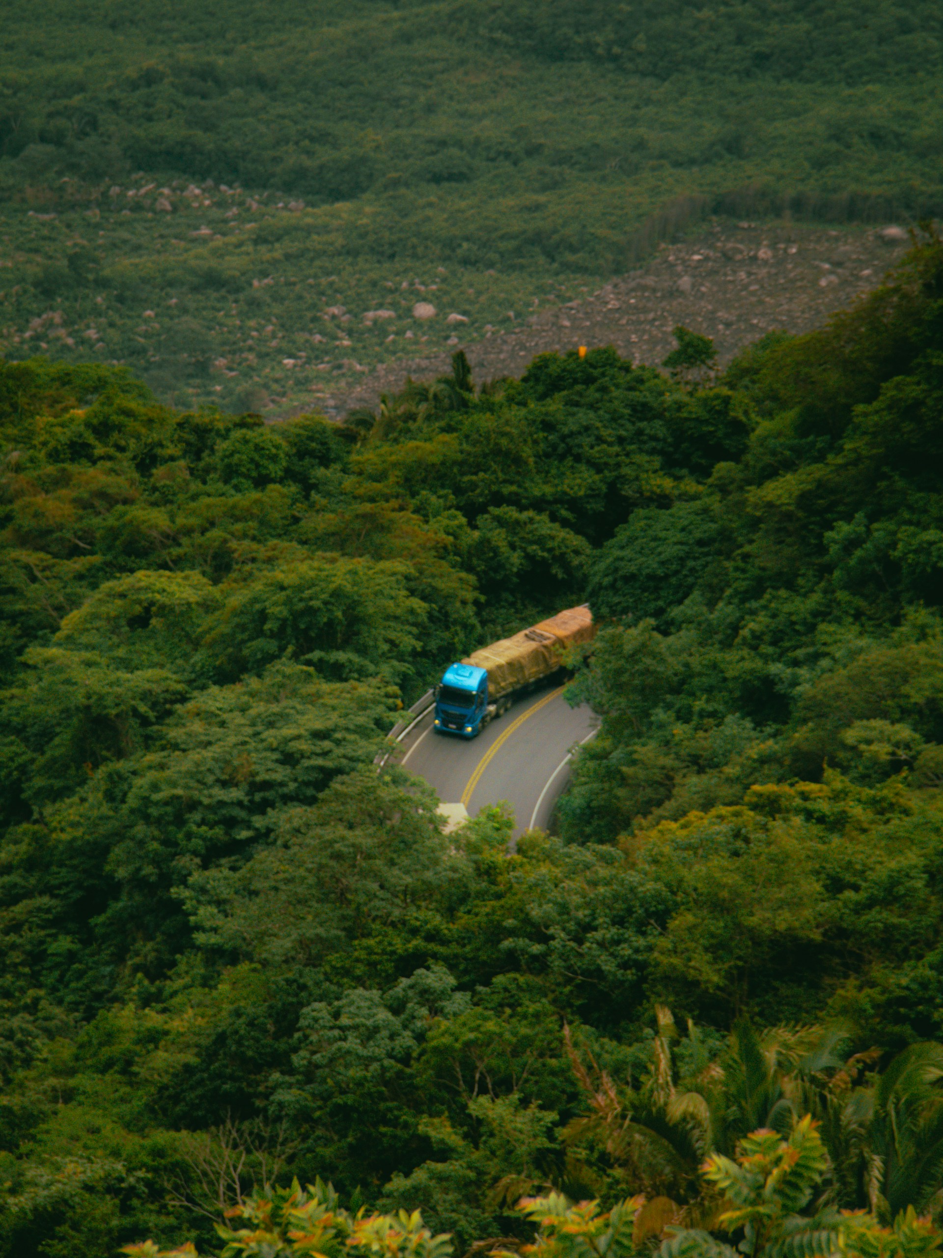 A blue bus driving down a road surrounded by lush green trees