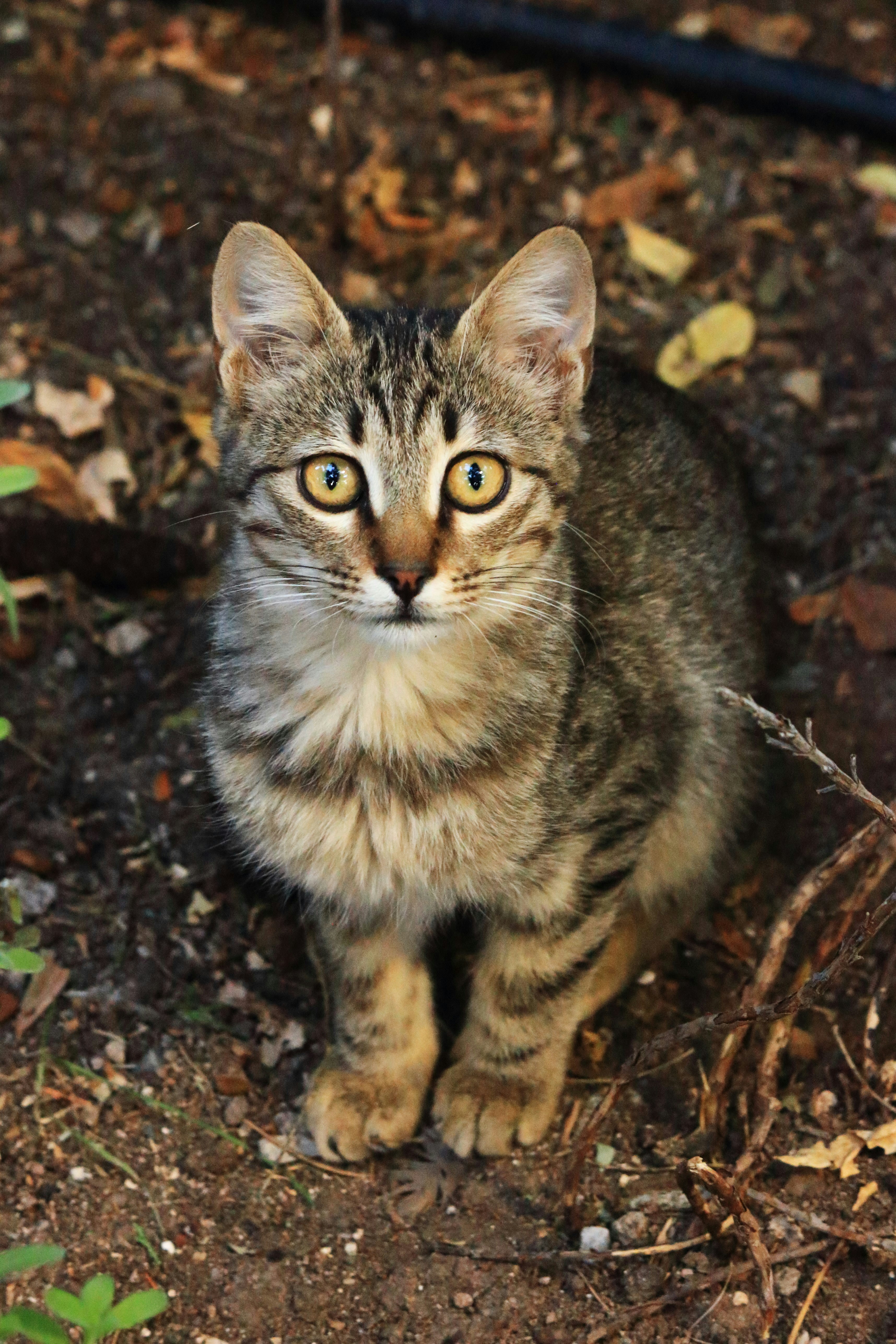 Photo by cengizozarpat