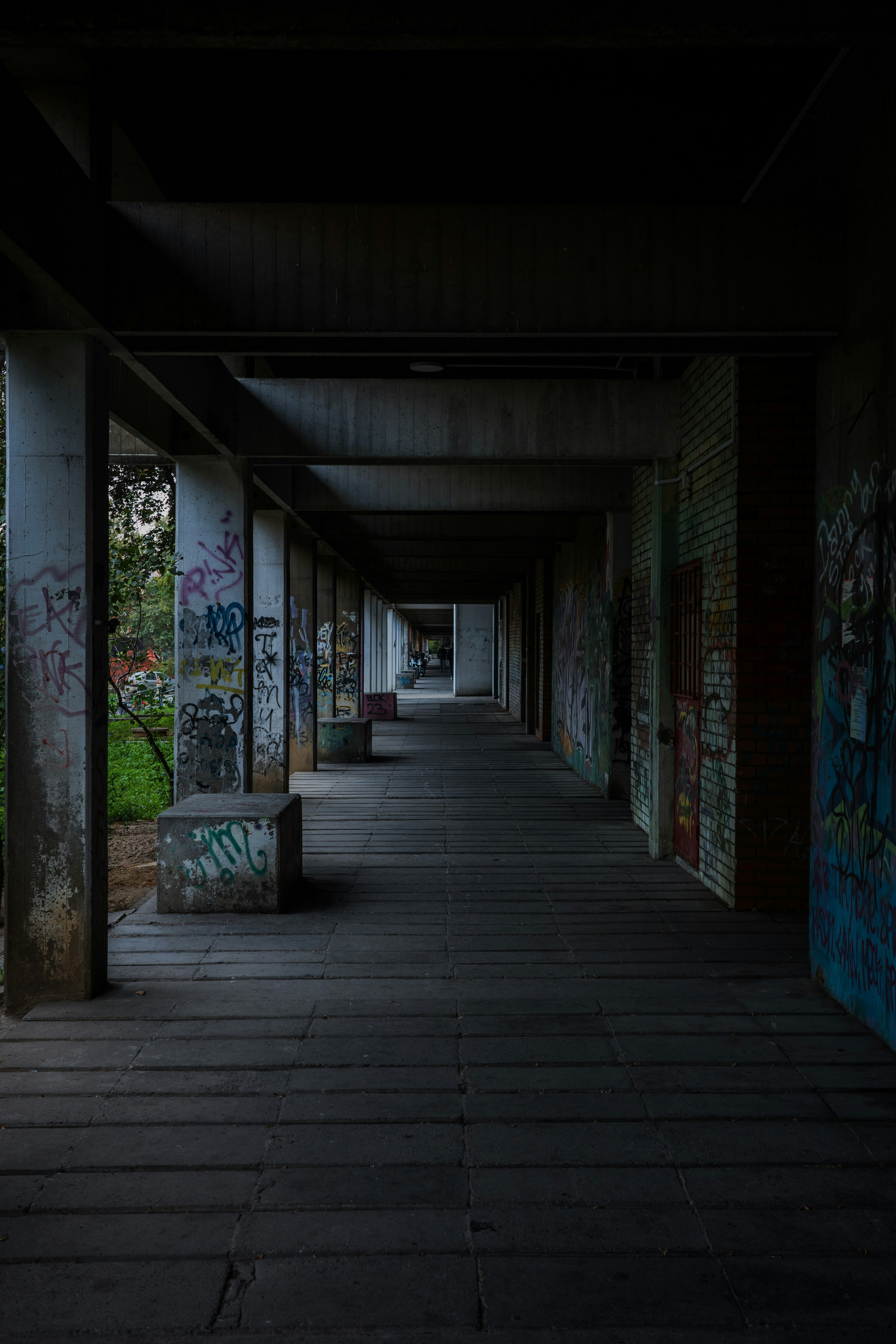 Photo by dmitrii_filatov