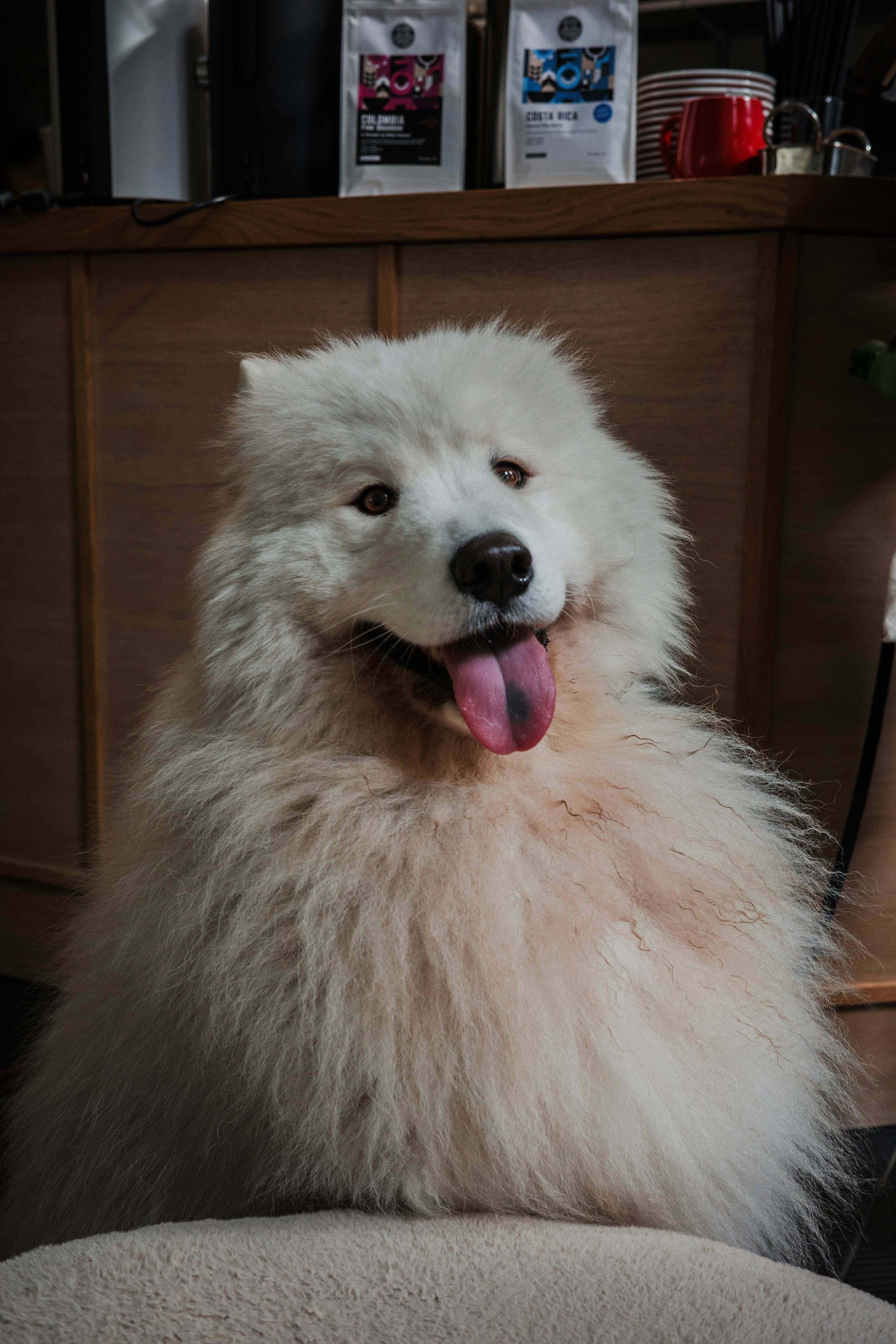 Photo by dmitrii_filatov