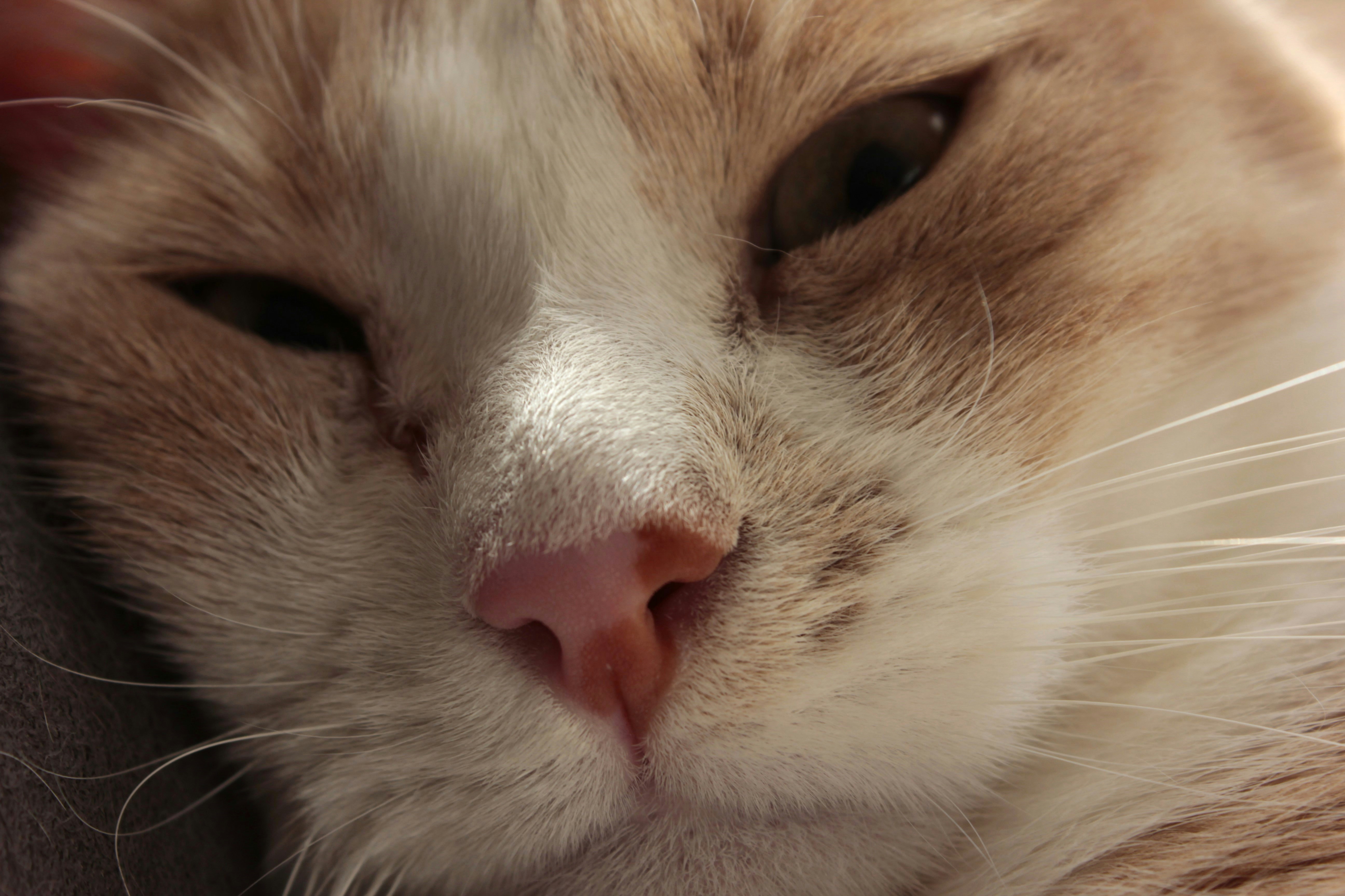 Photo by cengizozarpat