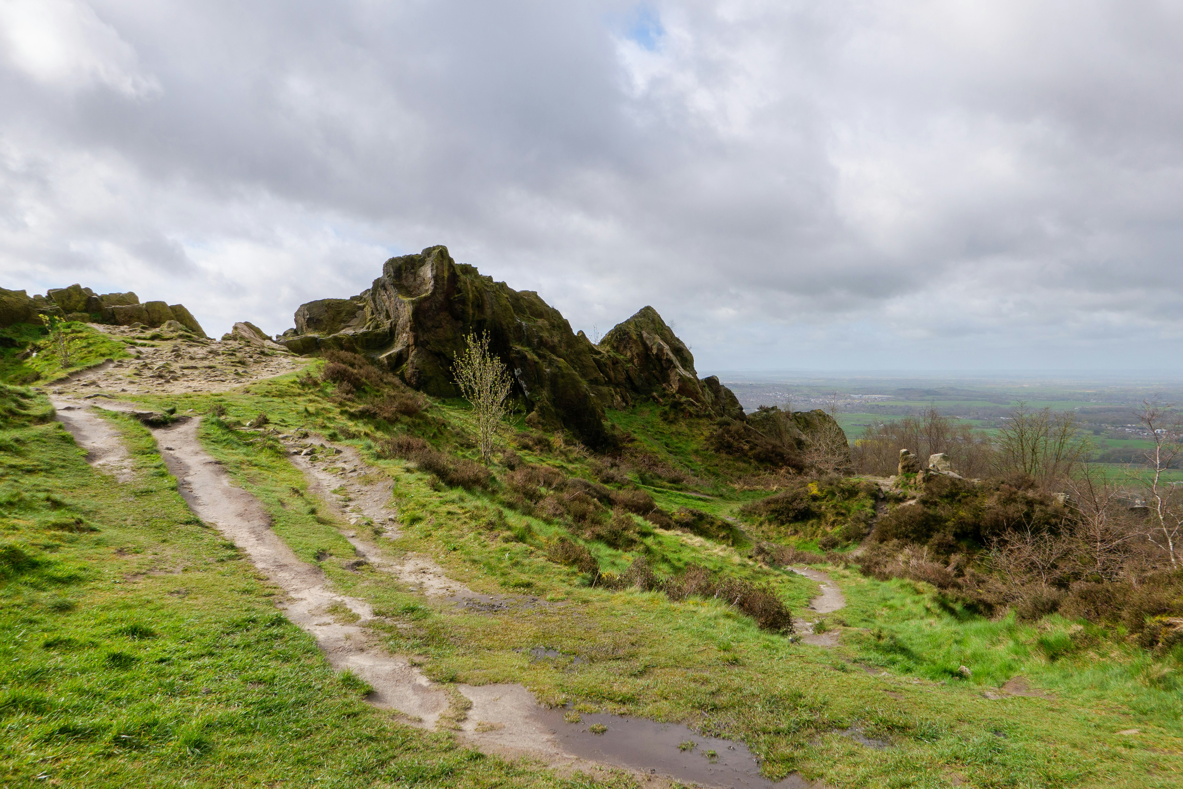 Photo by stockbirken