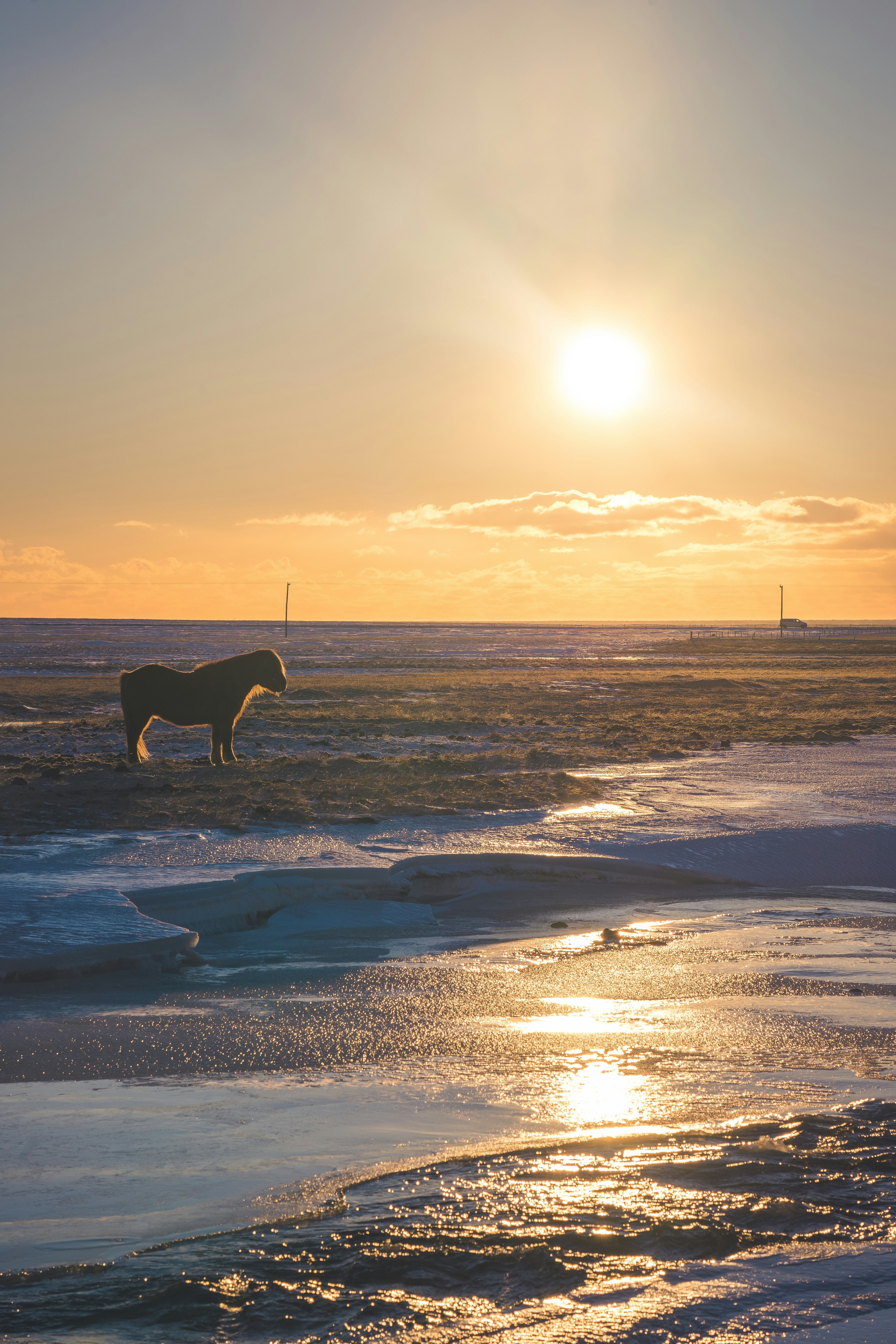 Um cavalo em pé em uma praia ao pôr do sol