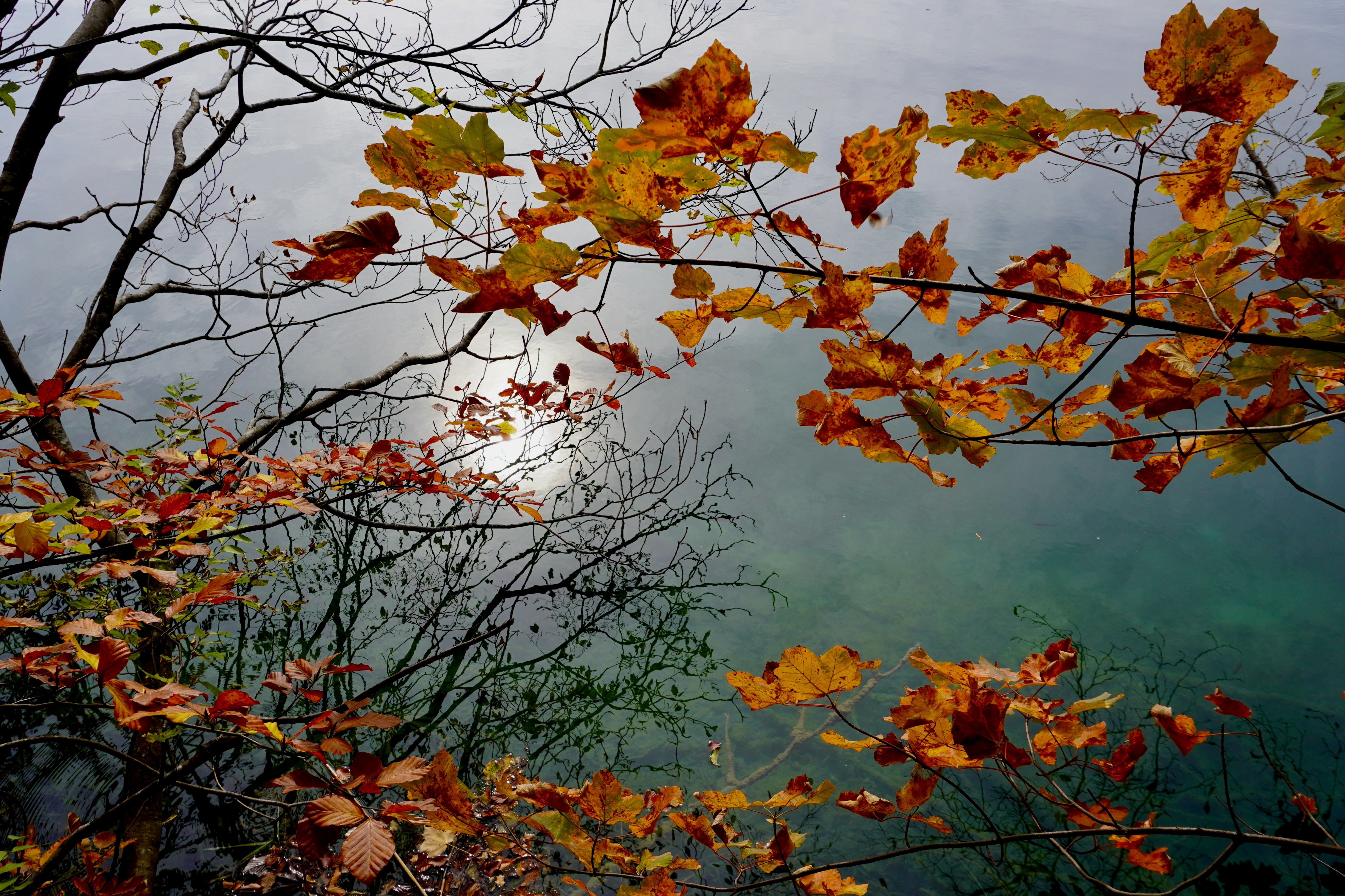 Photo by peterburdon