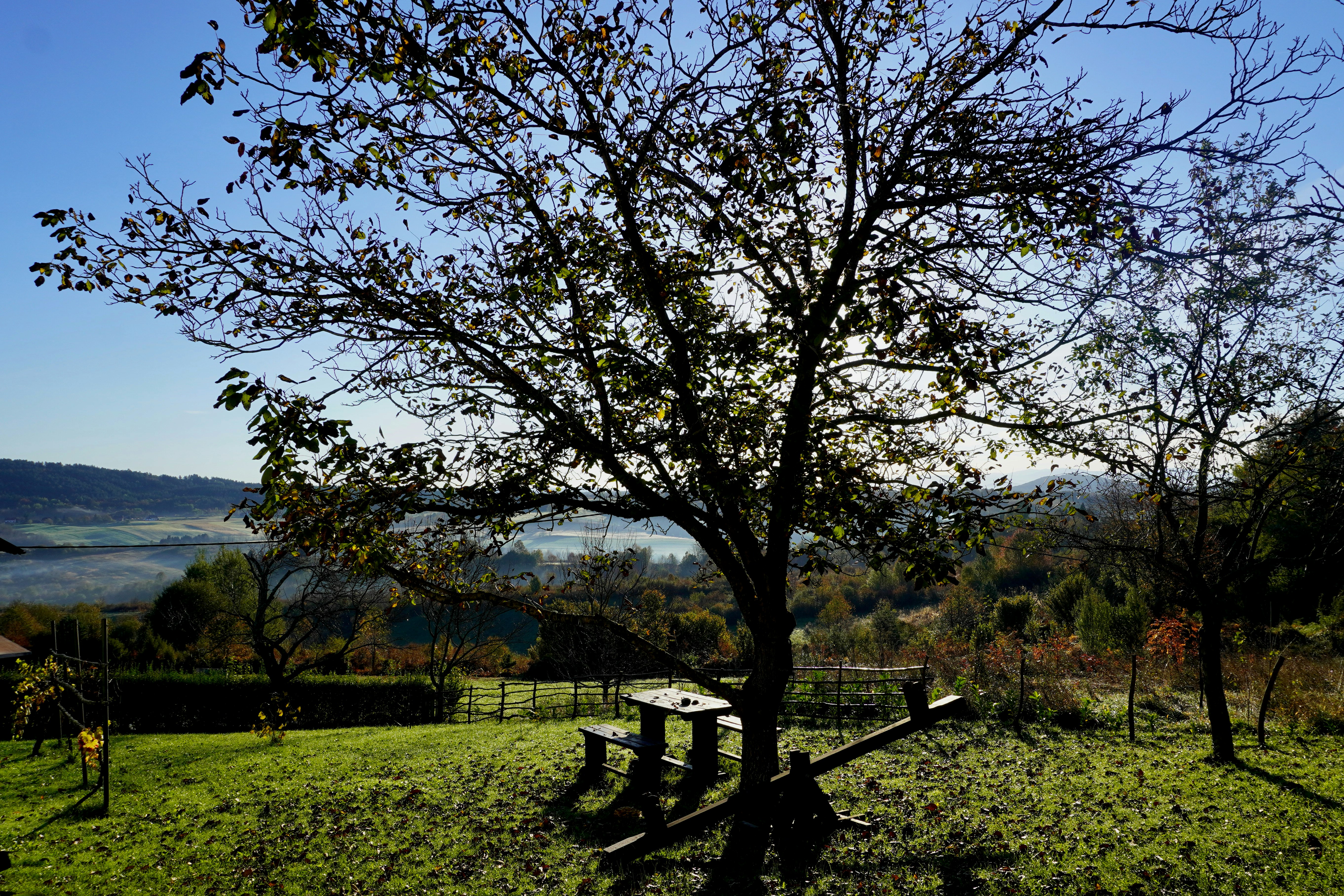 Photo by peterburdon