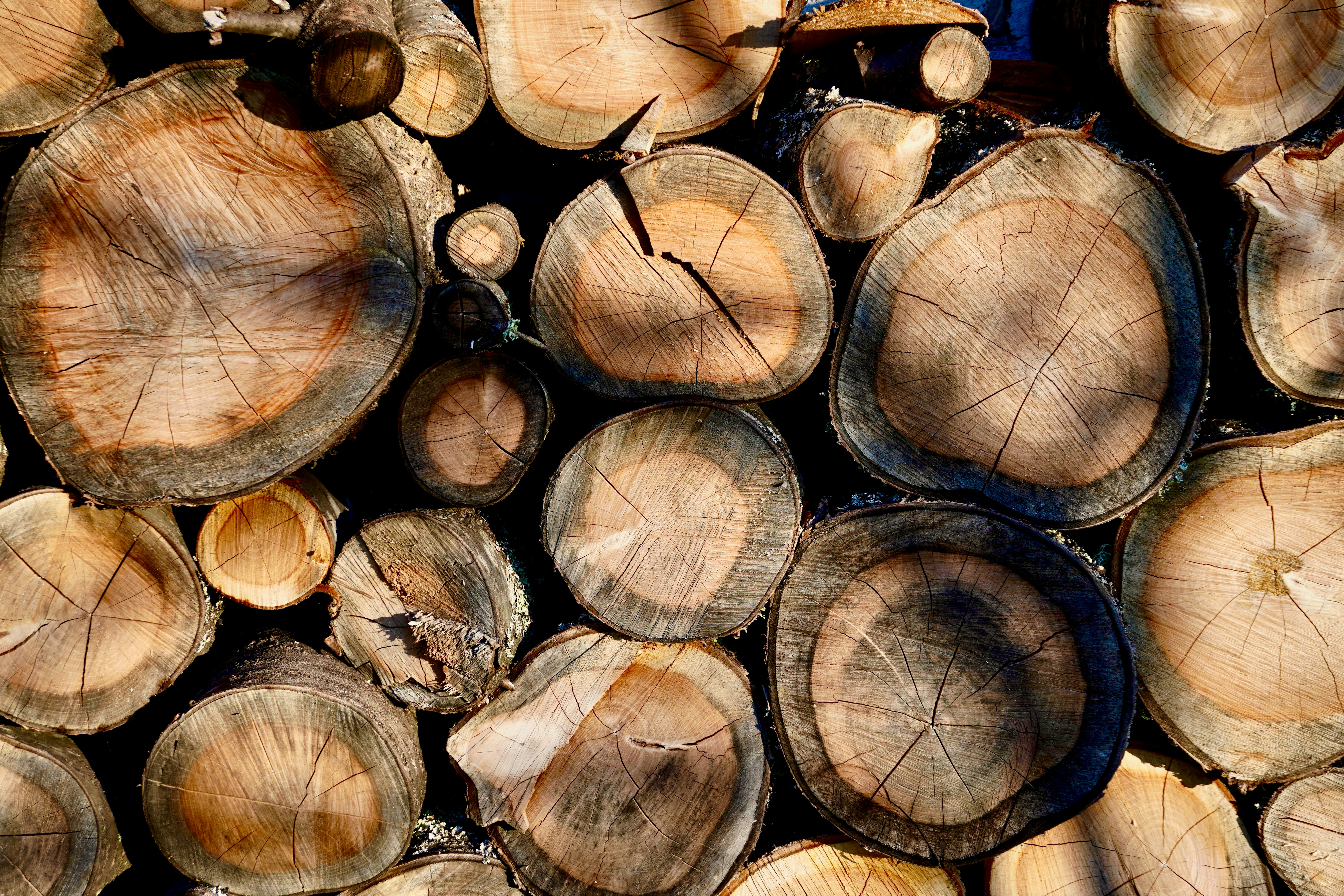 Photo by peterburdon