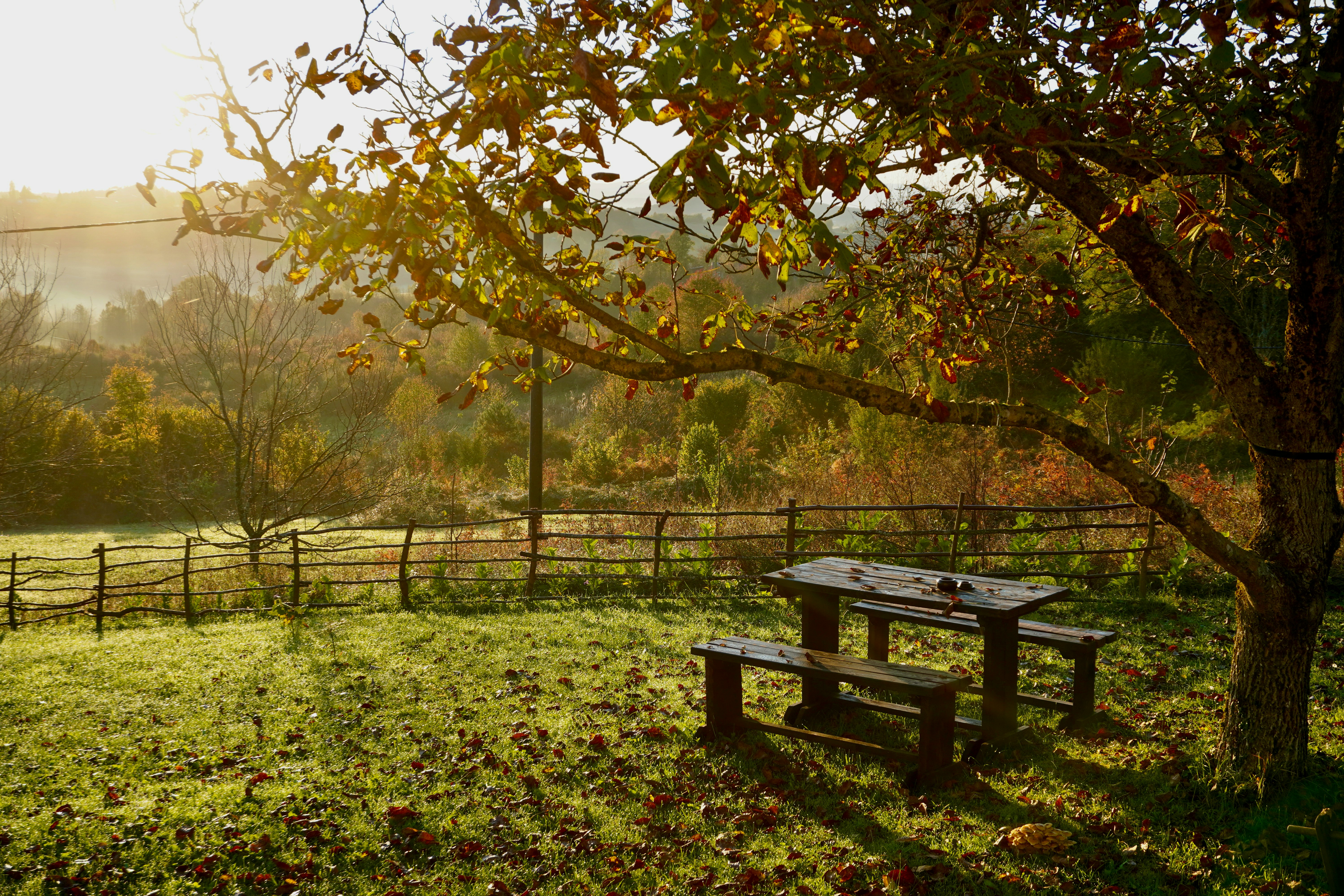 Quel picnic d’autunno che non ti aspetti