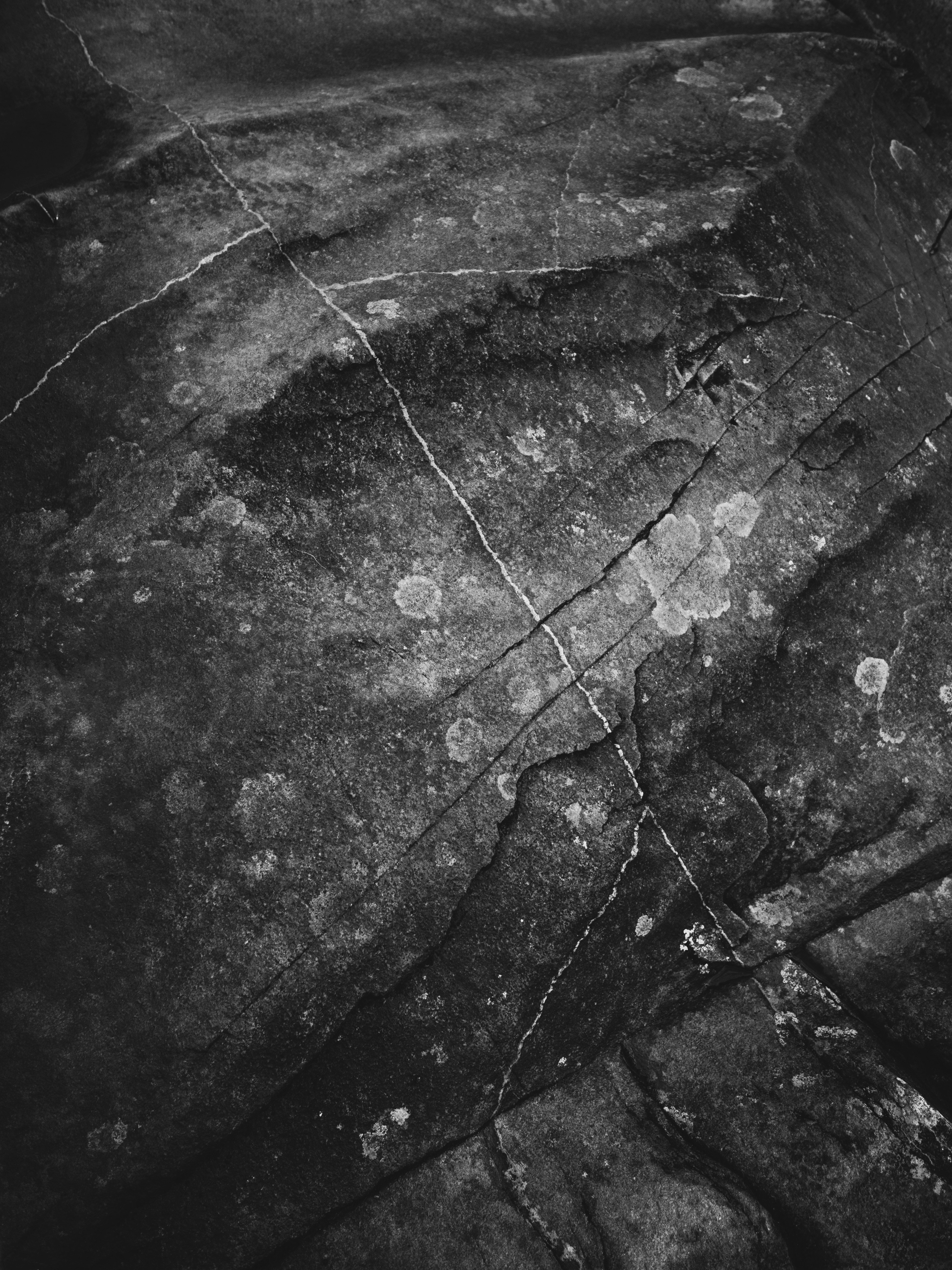 Photo by paulinaherpel