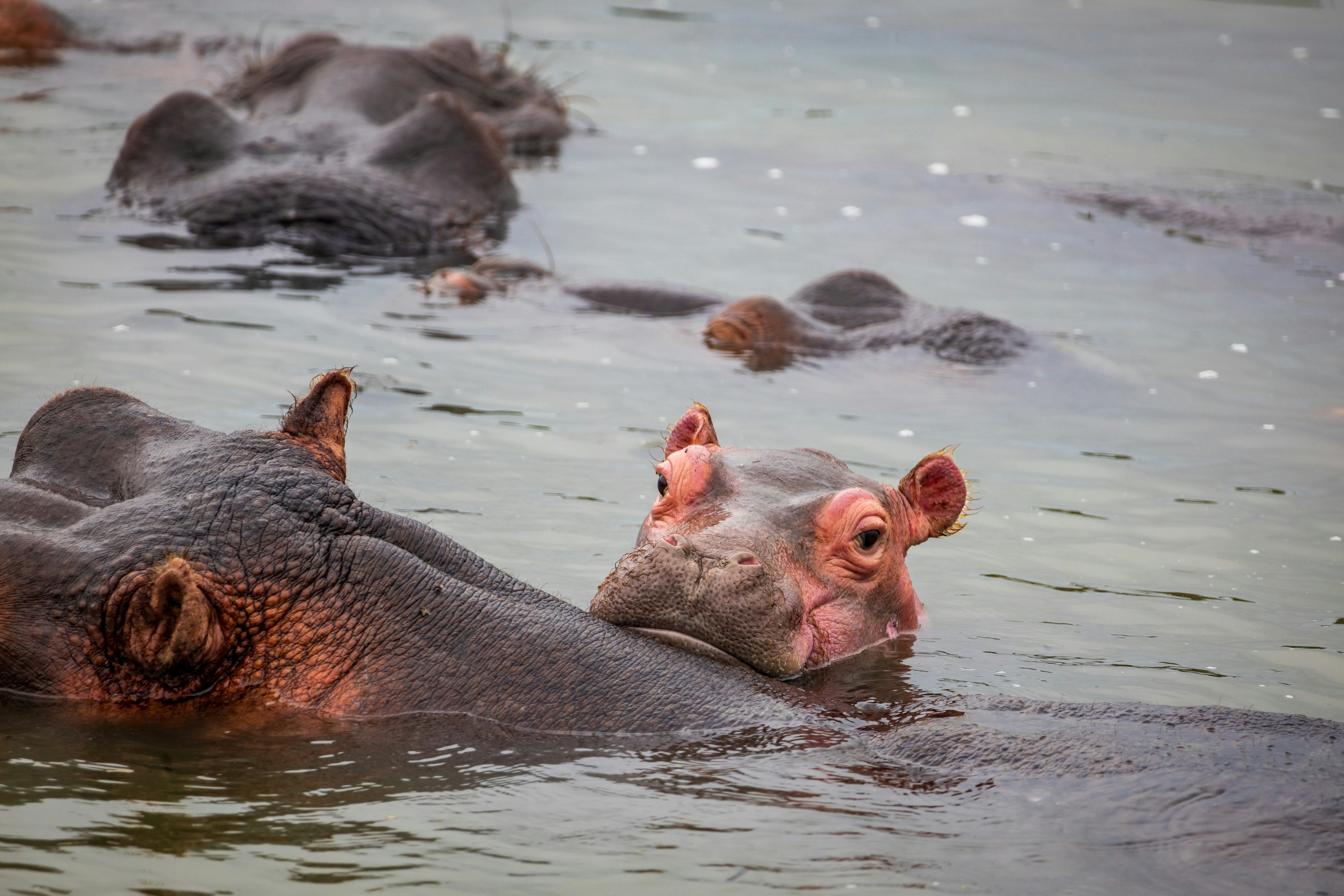 Environmental Factors Affecting Production (image credits: unsplash)