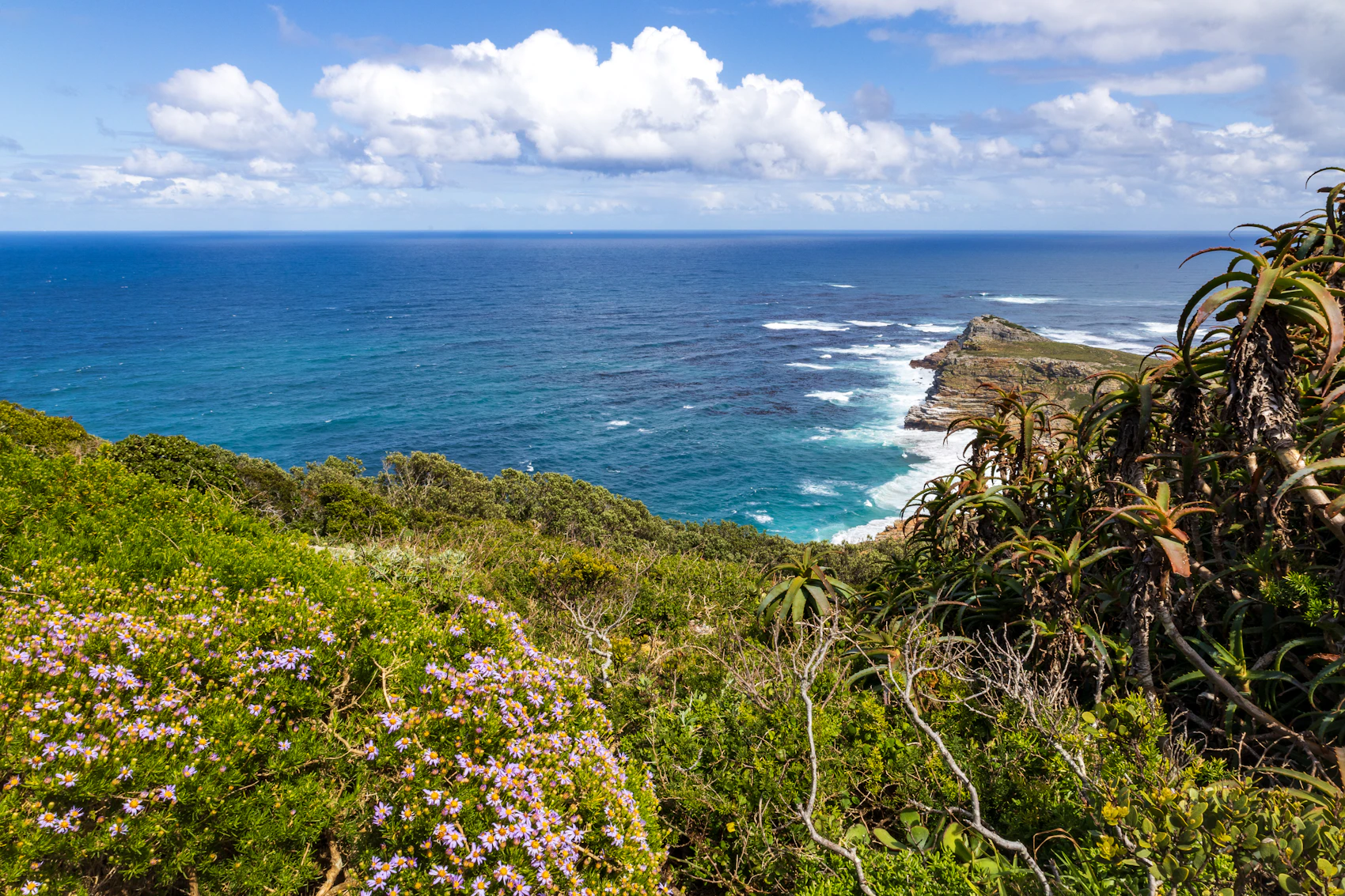 The turquoise Atlantic and rugged cliffs at Cape Point