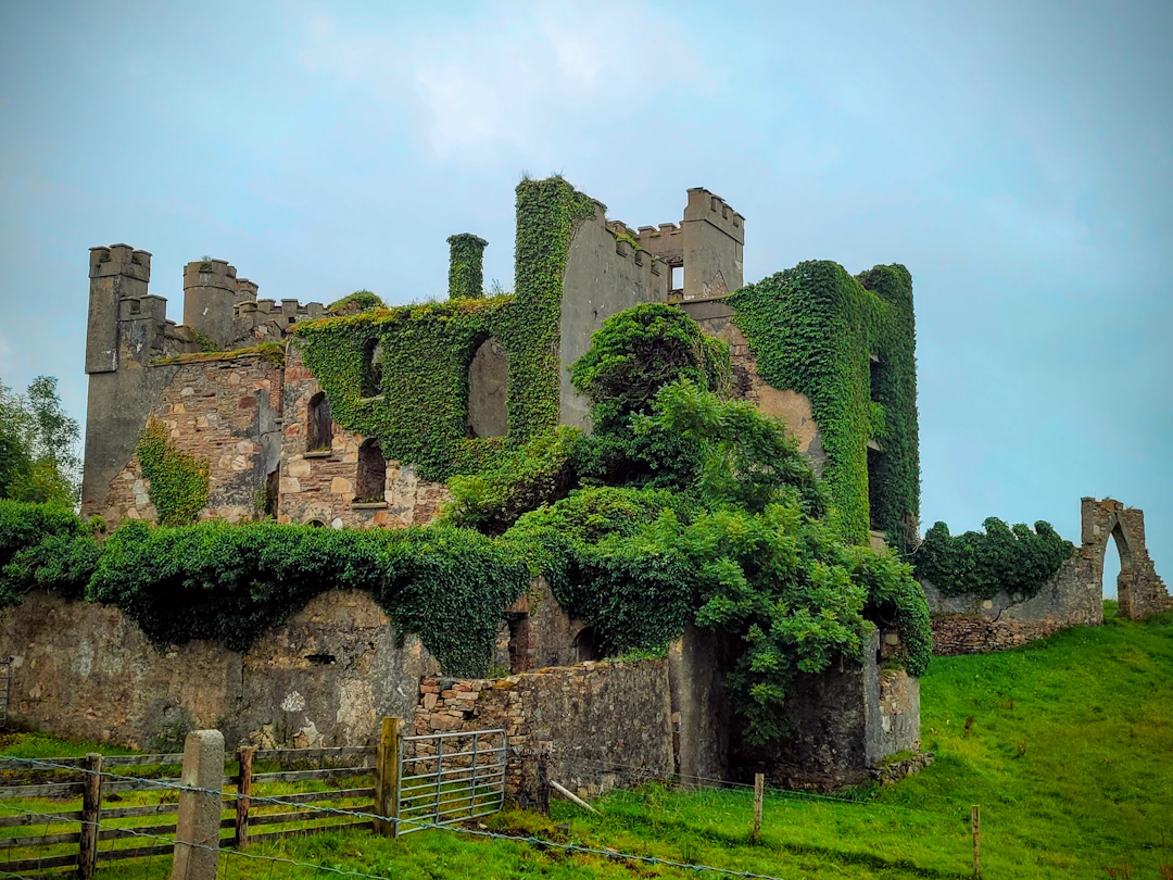 18-Day Family Travel Itinerary for Ireland