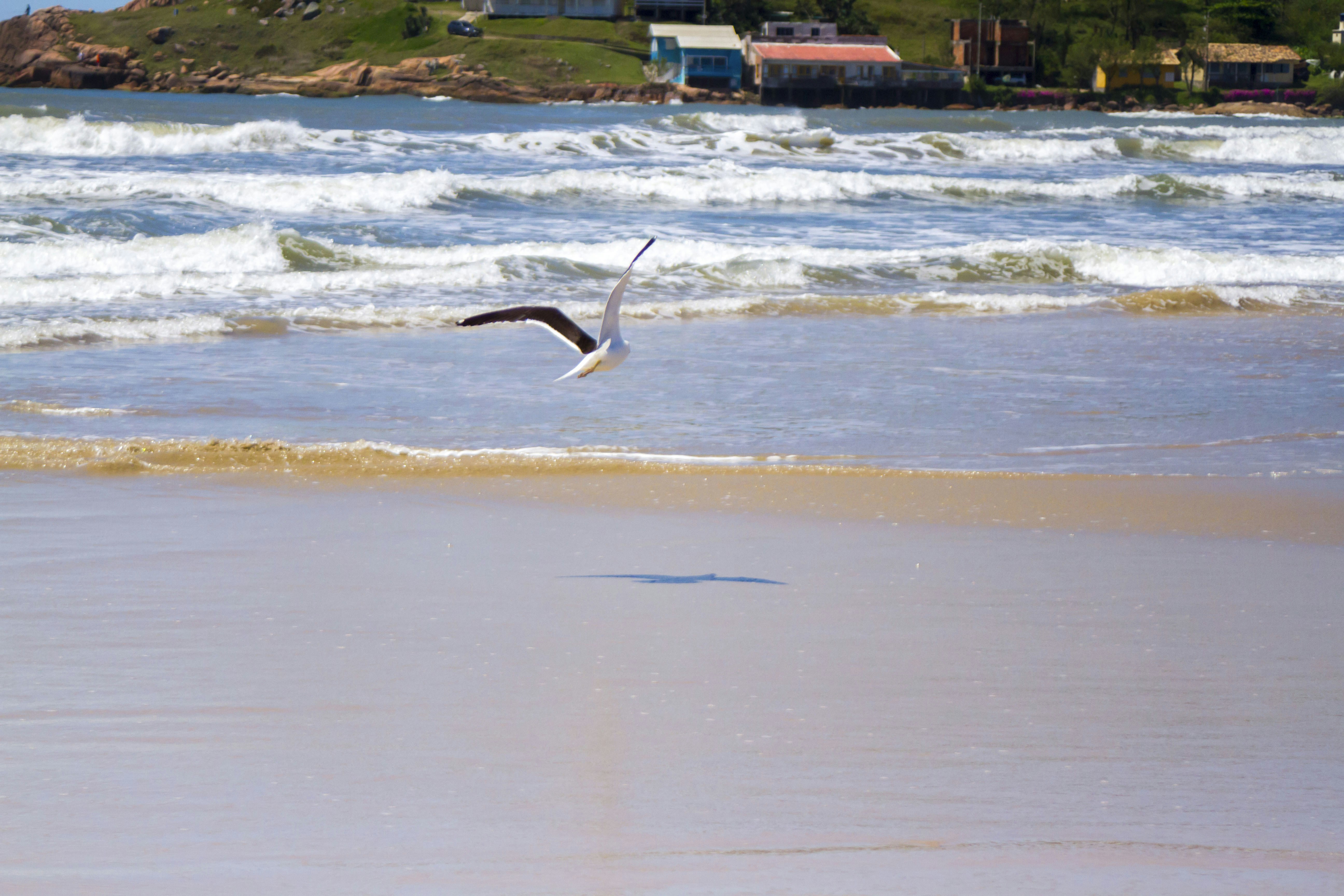 Photo by photos_muka