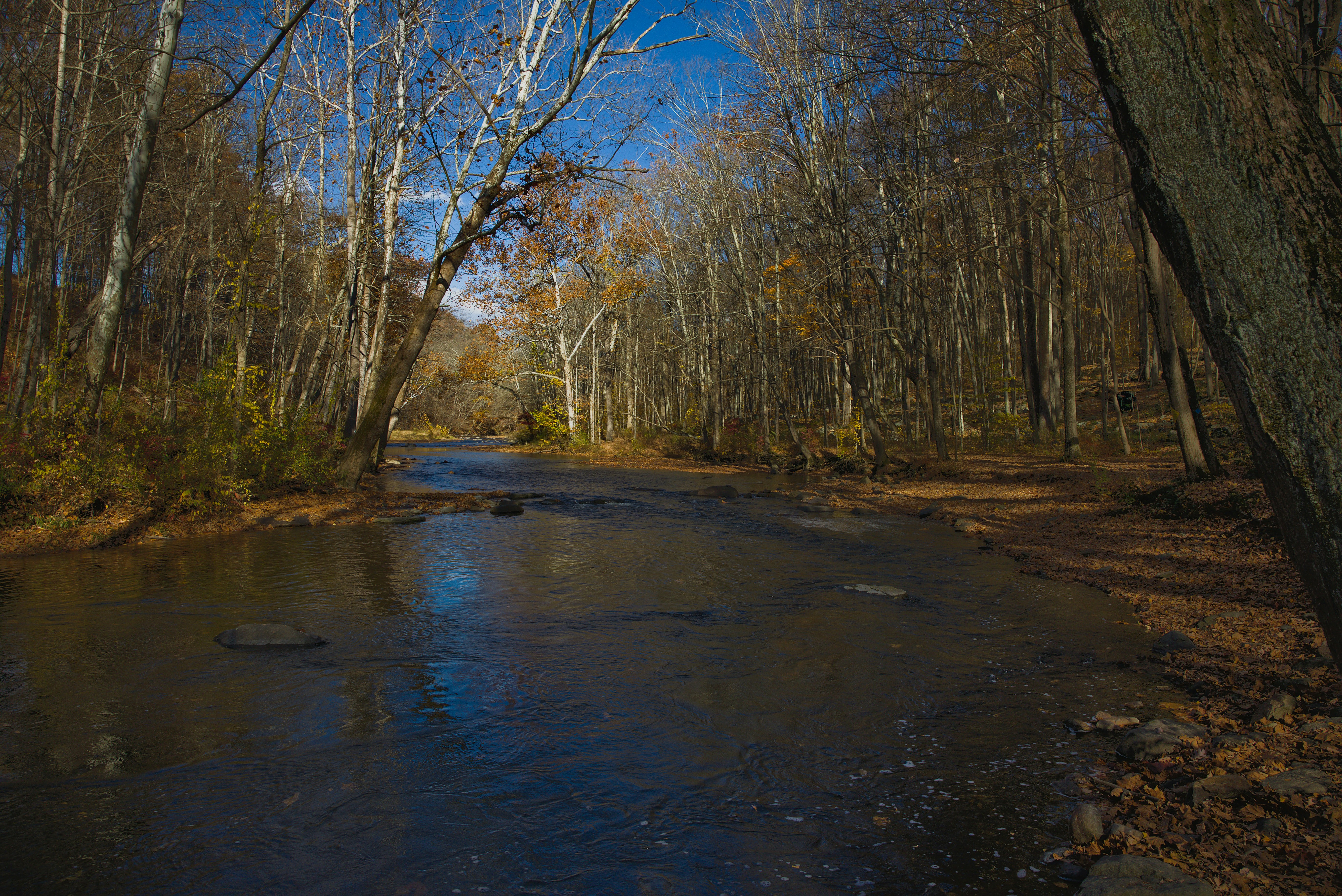 Photo by sherebiahtishbi