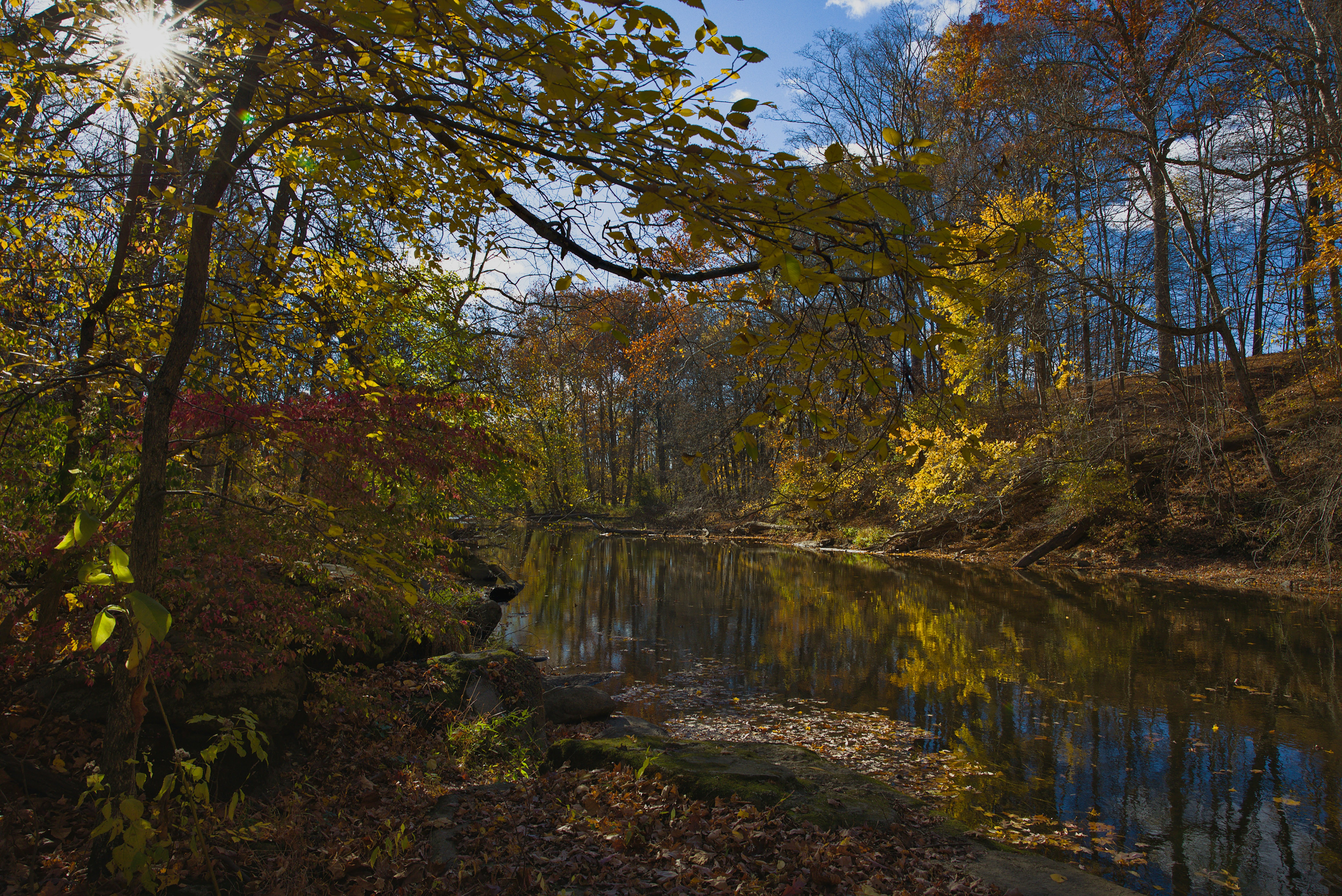 Photo by sherebiahtishbi