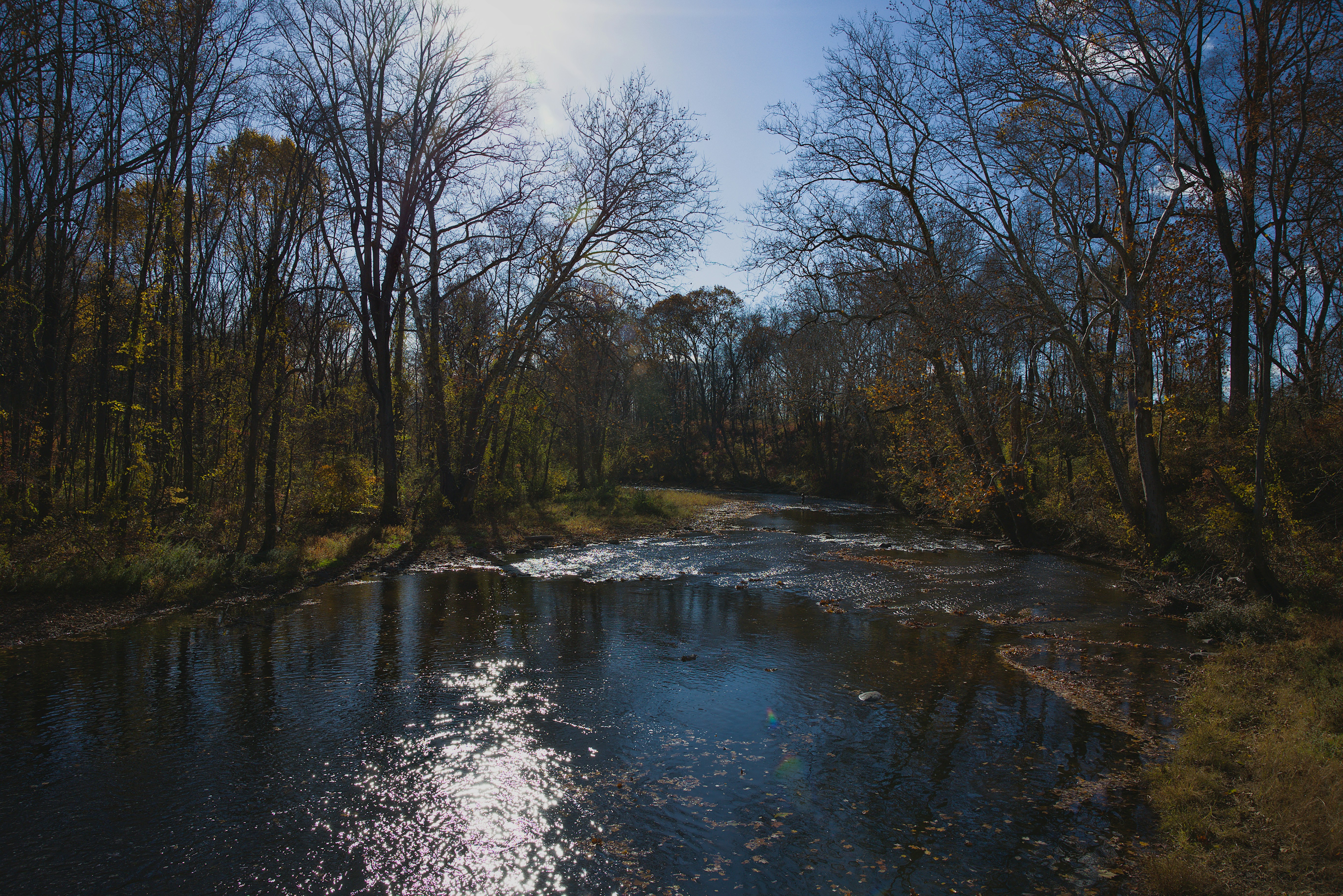 Photo by sherebiahtishbi