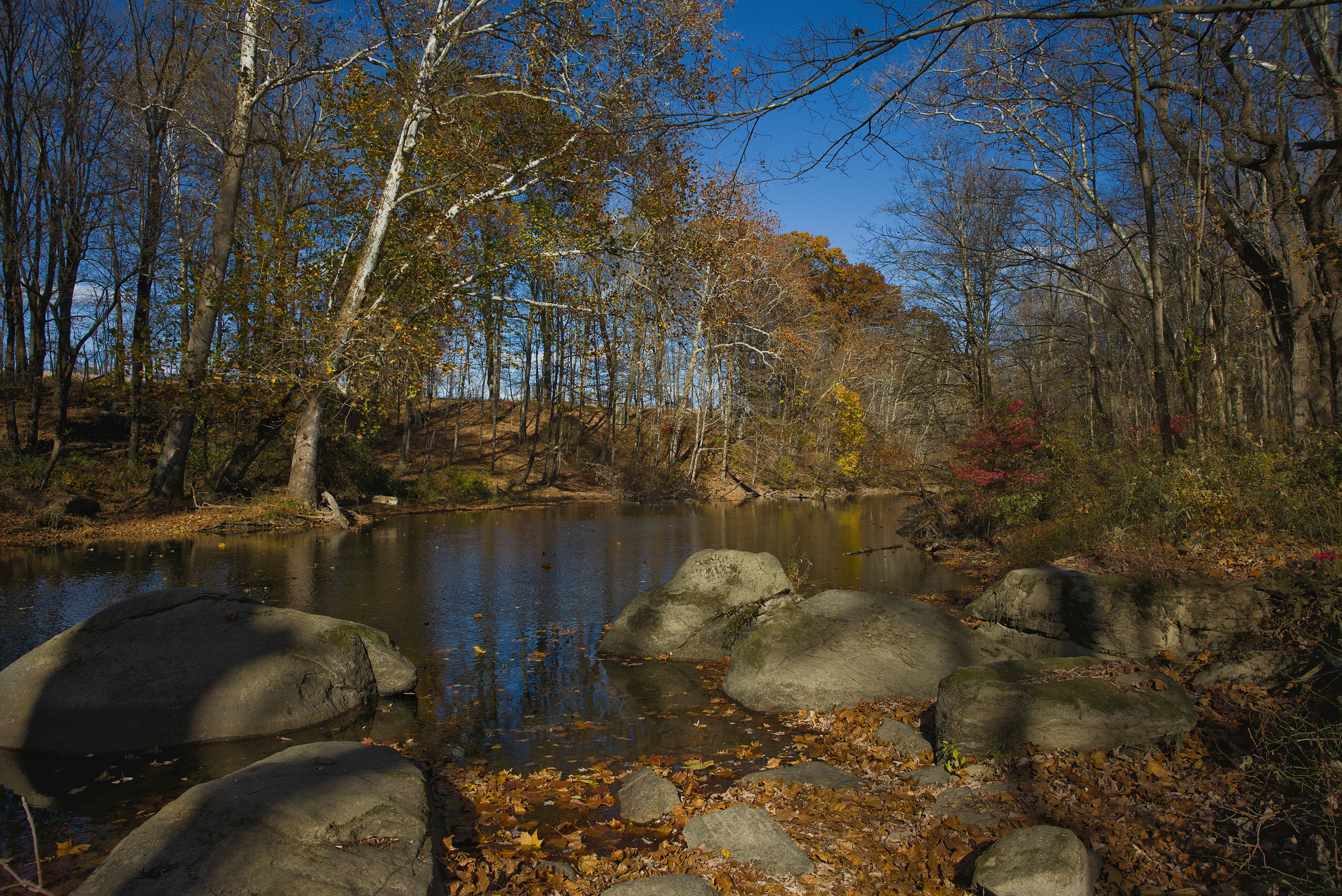 Photo by sherebiahtishbi