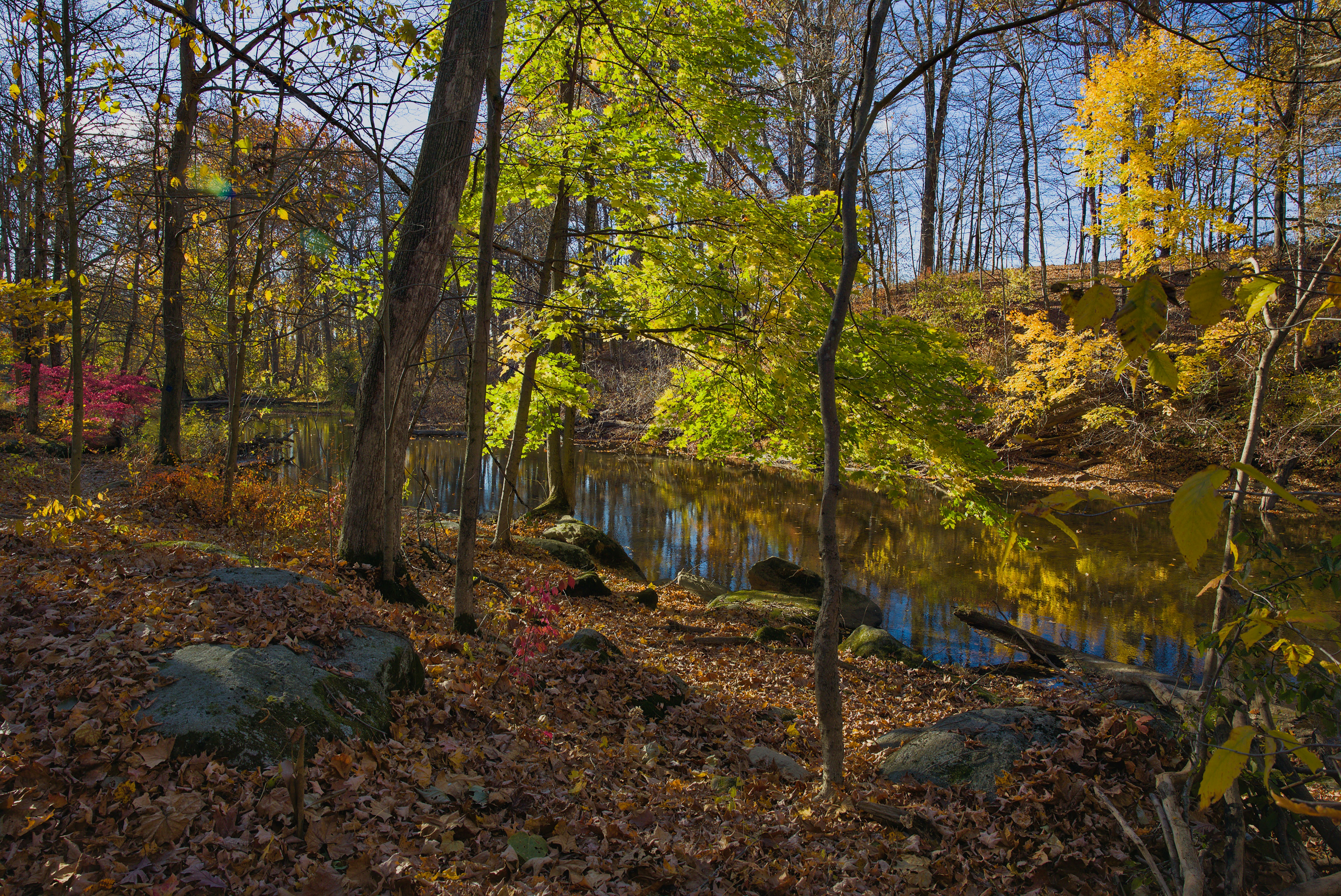 Photo by sherebiahtishbi