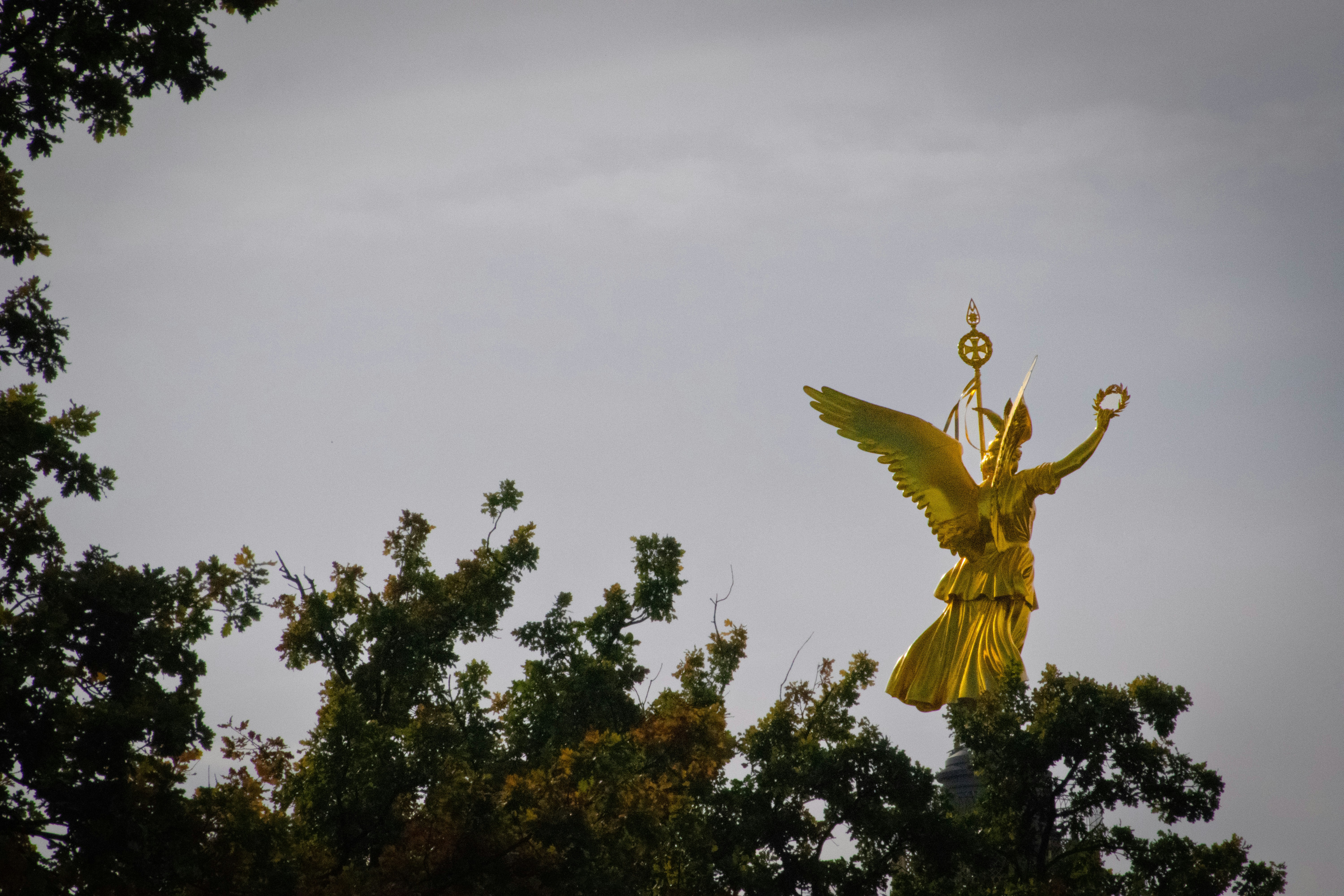 A statue of an angel on top of a tree