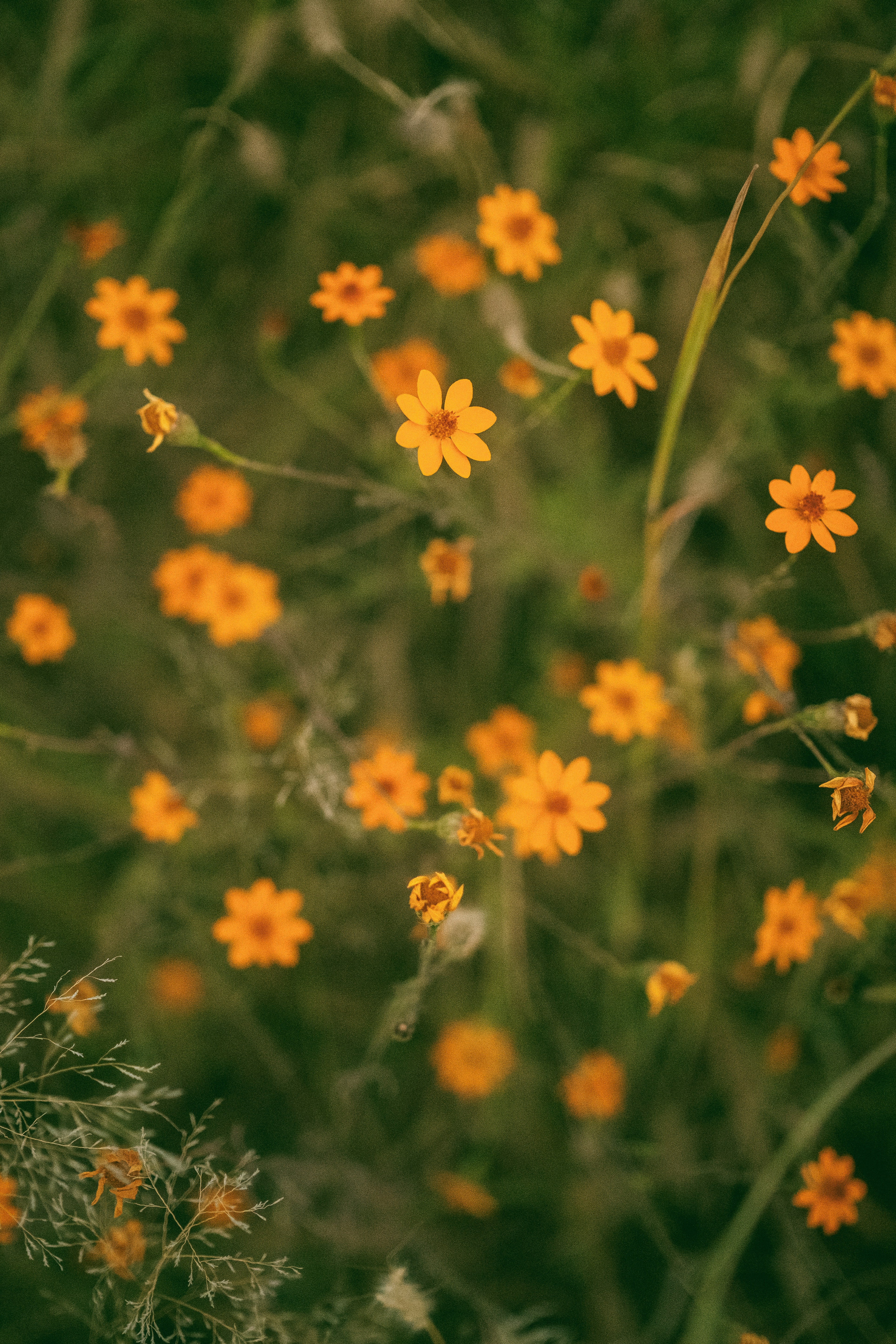 Photo by alex_quezada