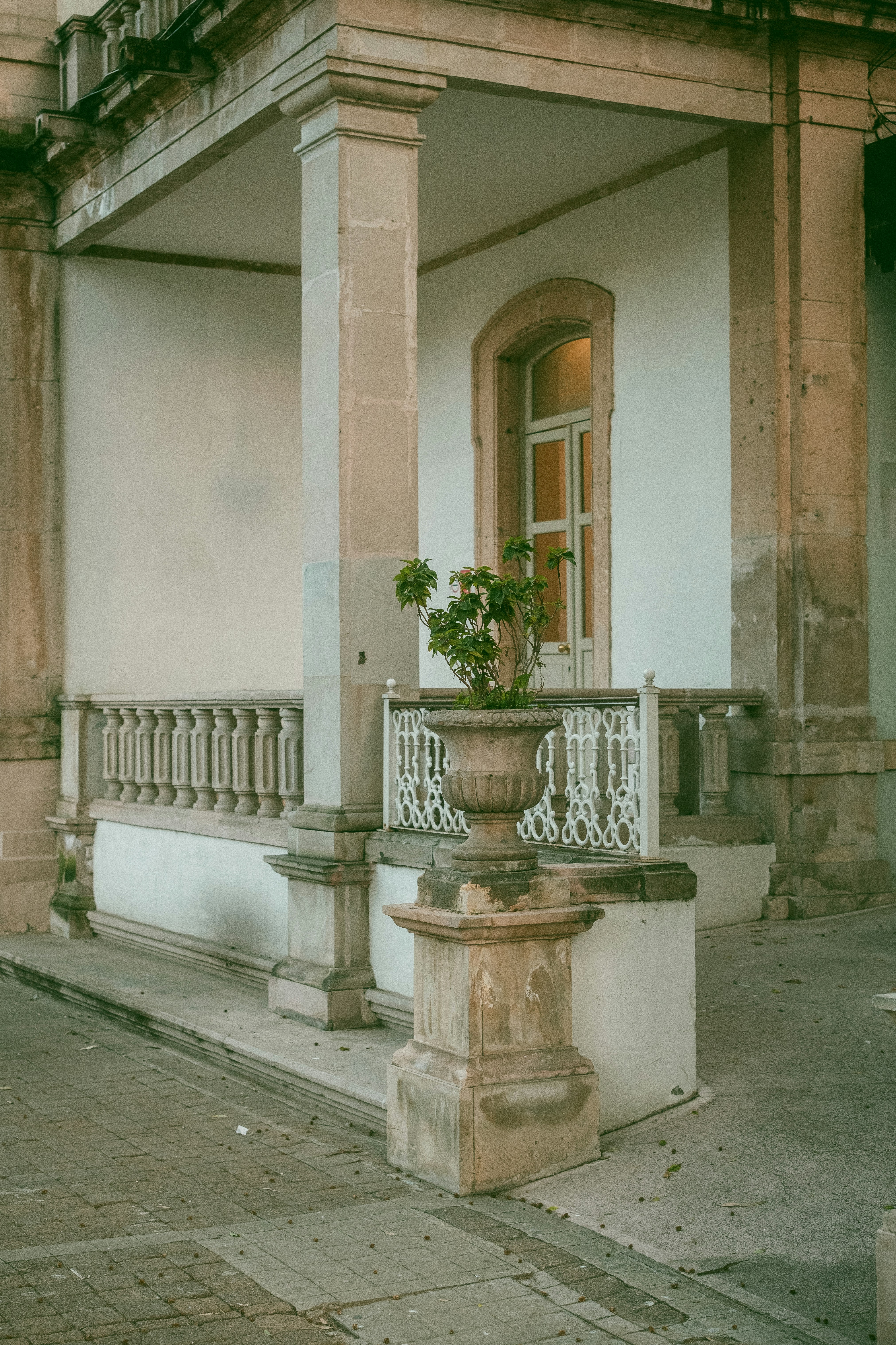 Photo by alex_quezada