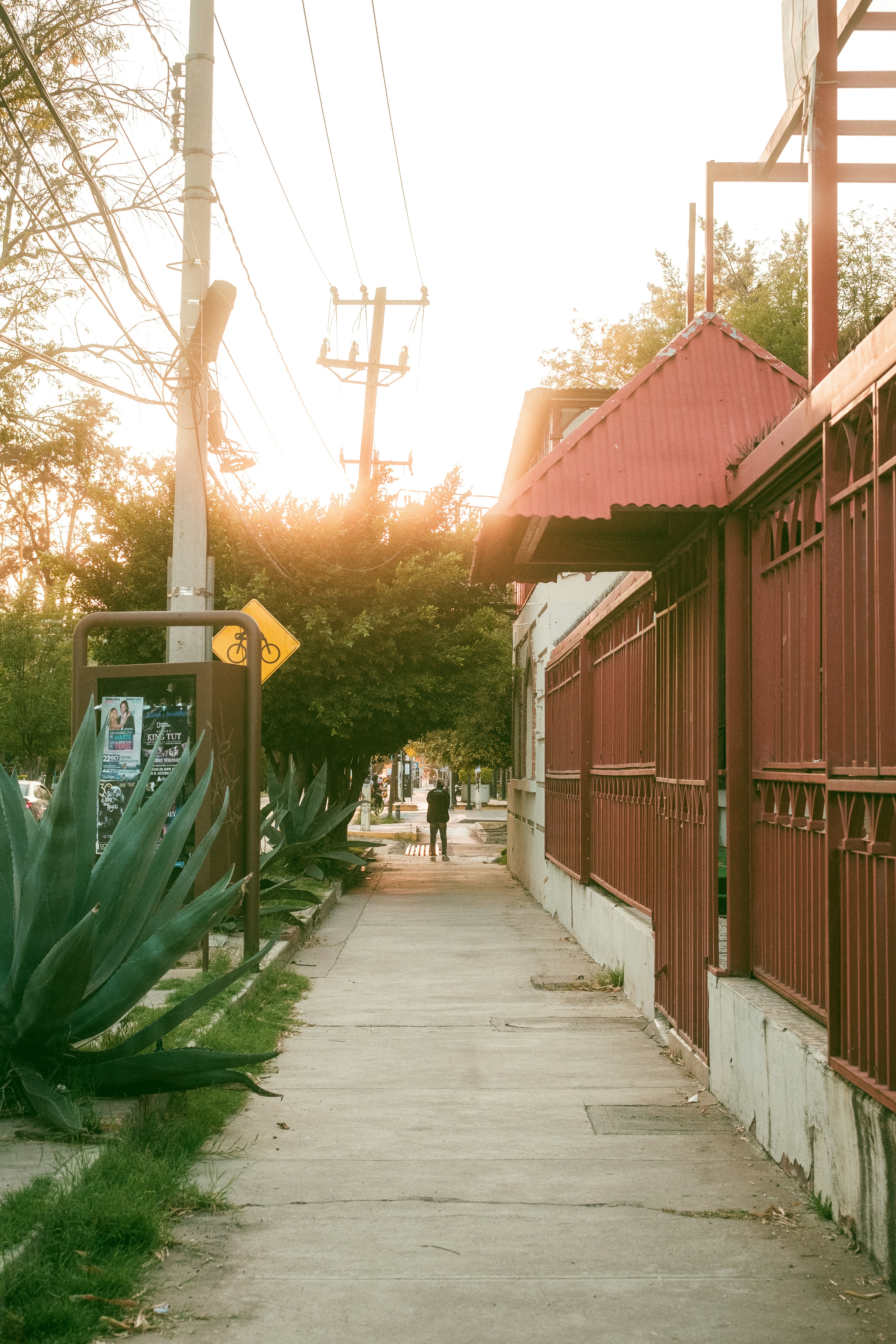 Photo by alex_quezada