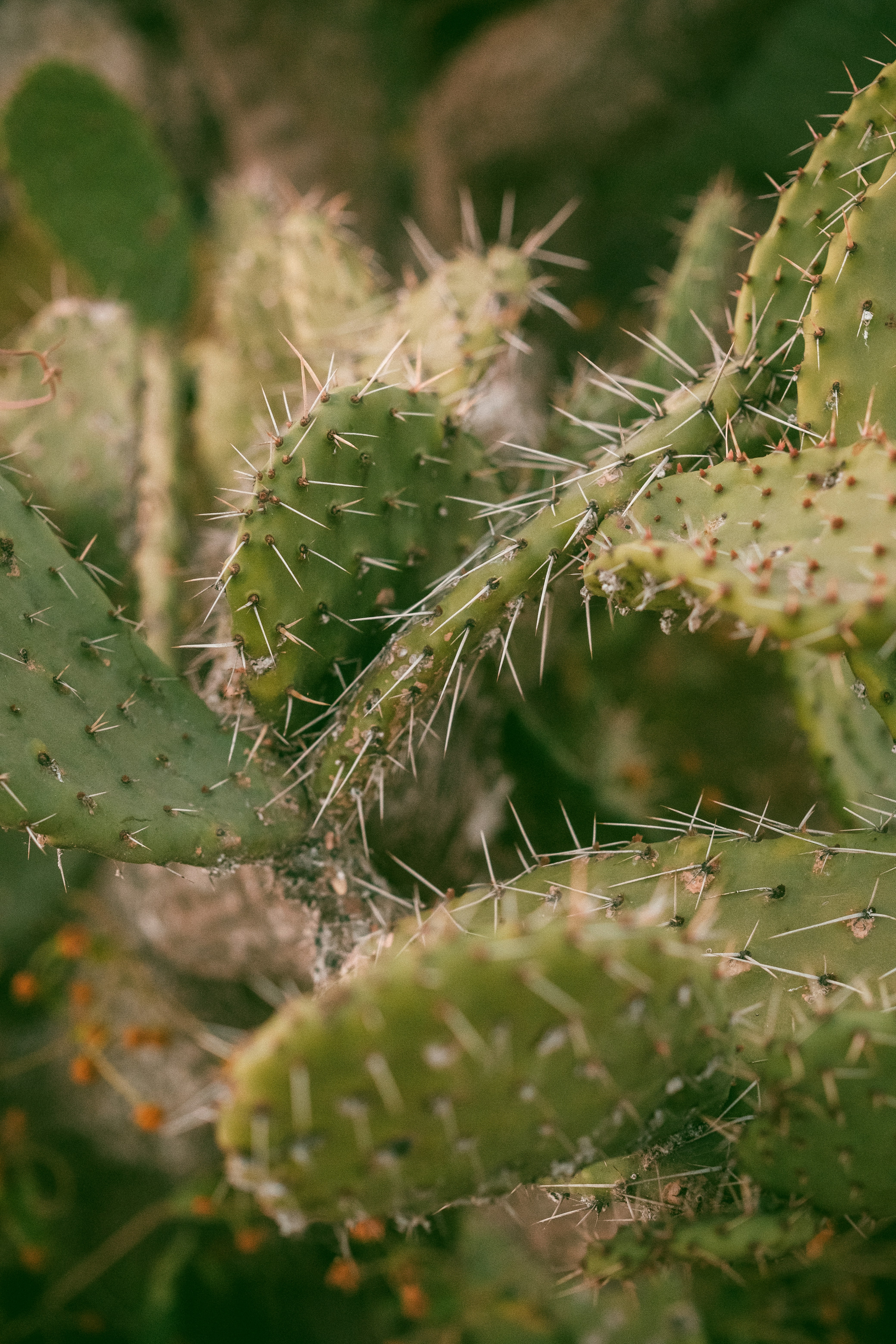 Photo by alex_quezada