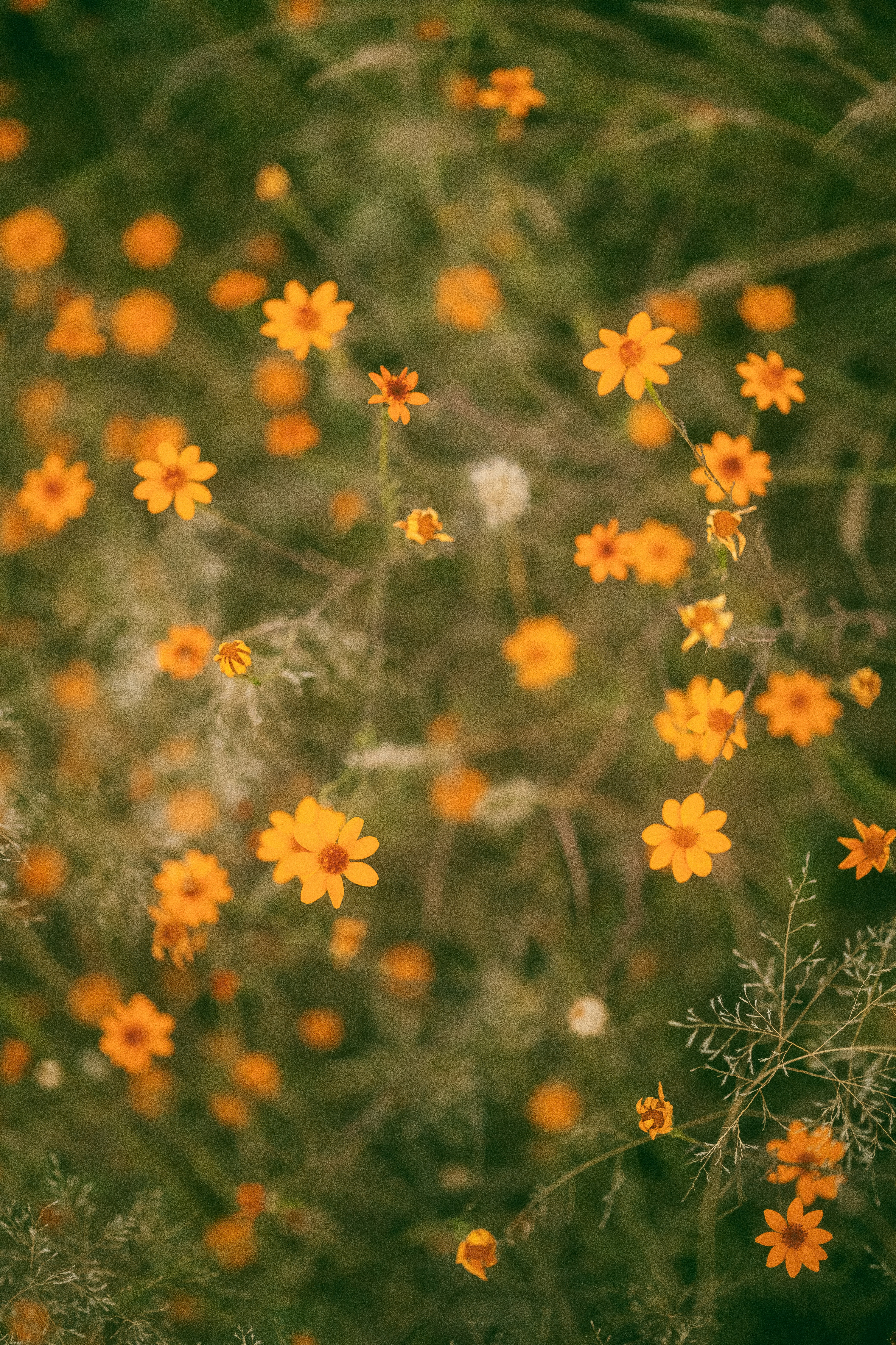 Photo by alex_quezada