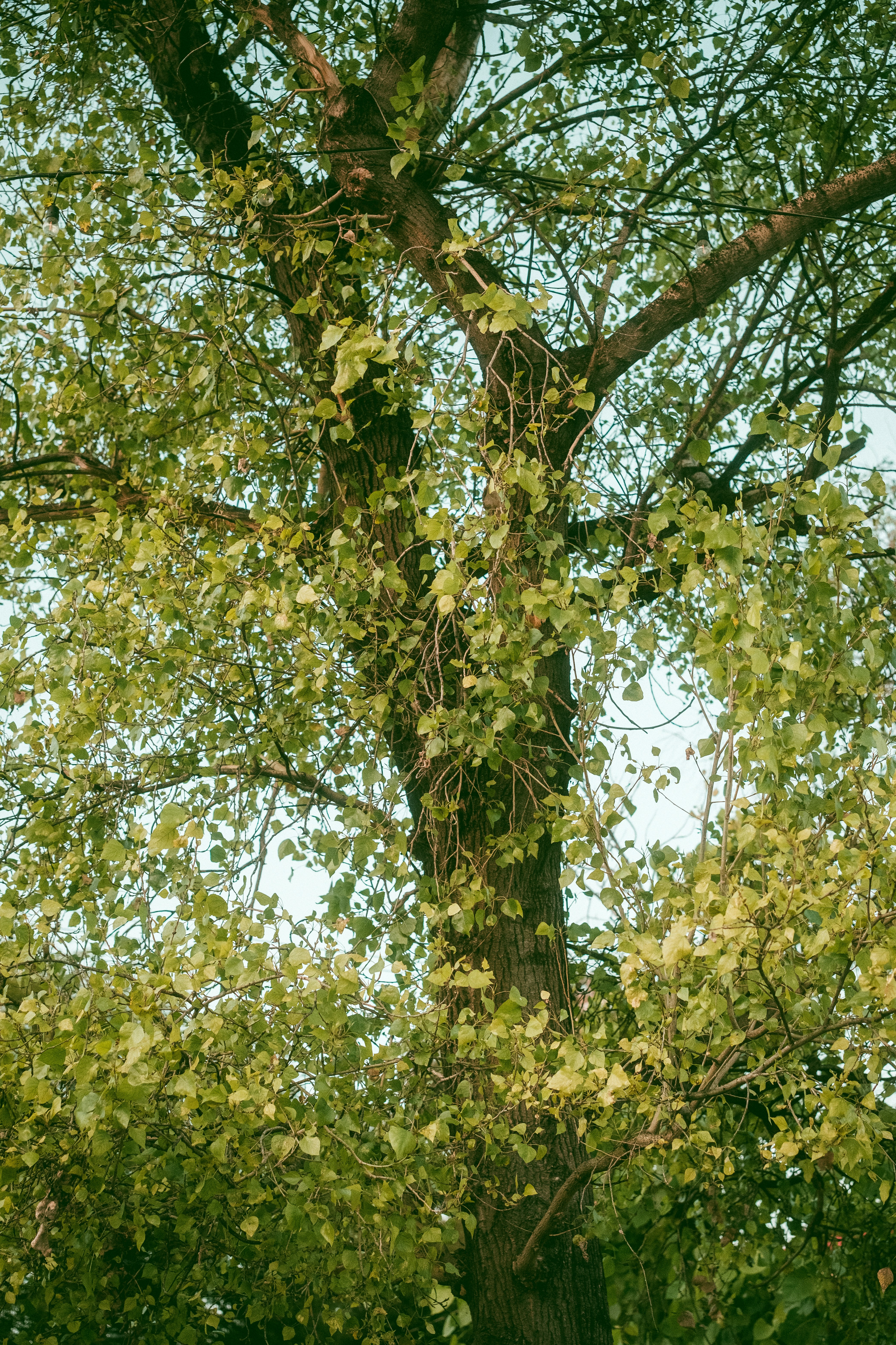 Photo by alex_quezada