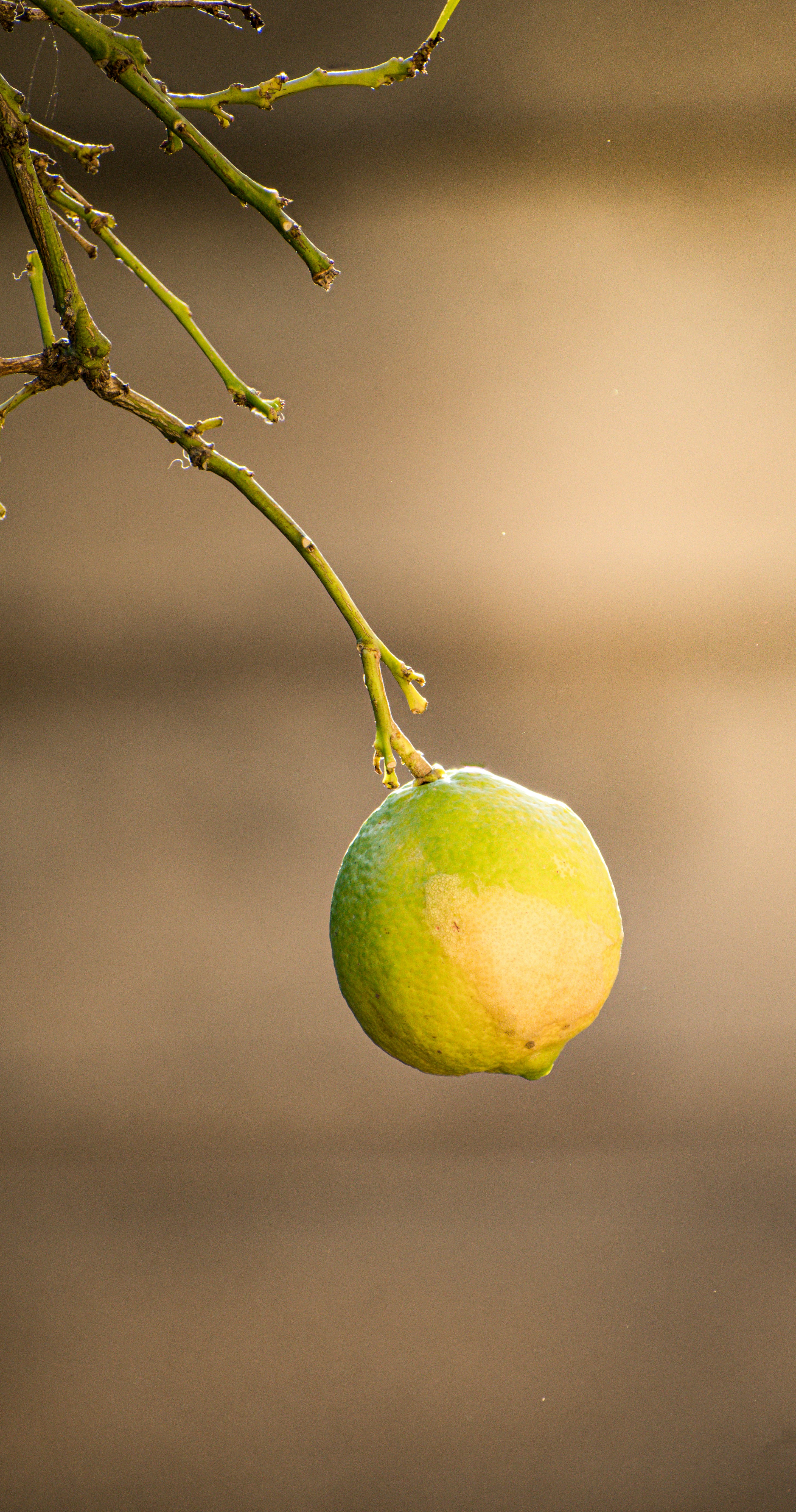 Photo by withmarcsilino