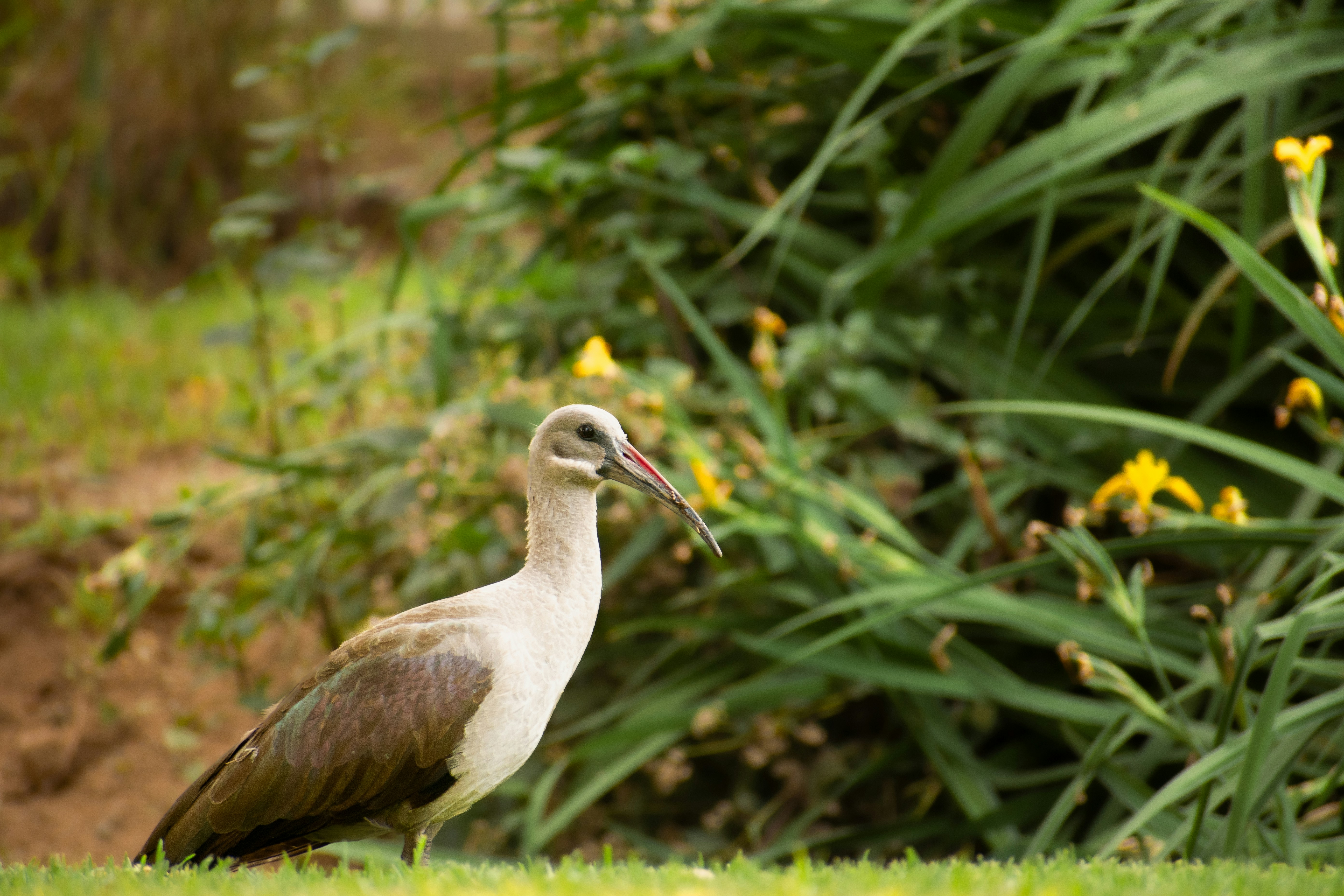 Photo by withmarcsilino