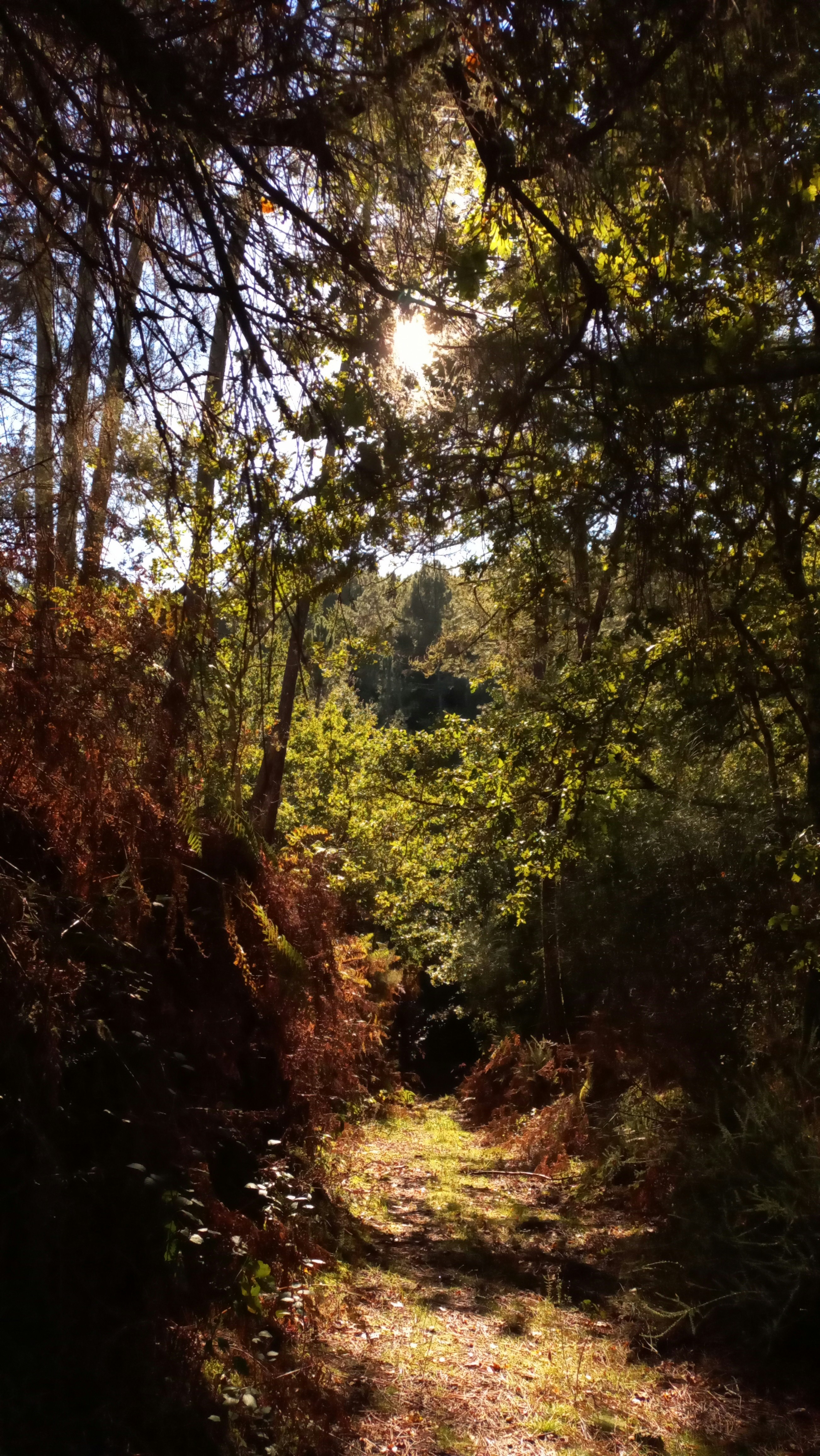 Photo by nataliegenev9