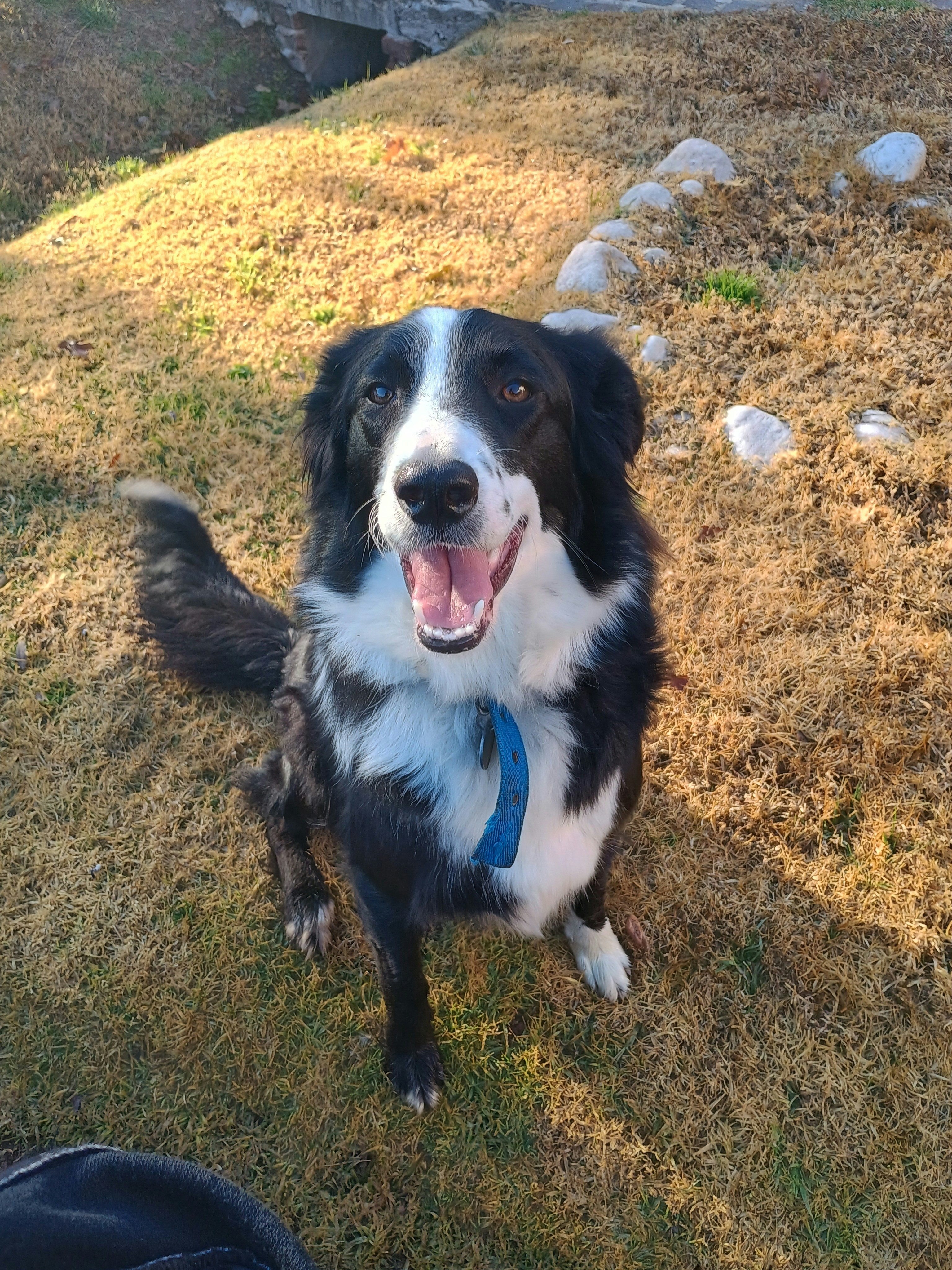 Photo by valen_i_lopez