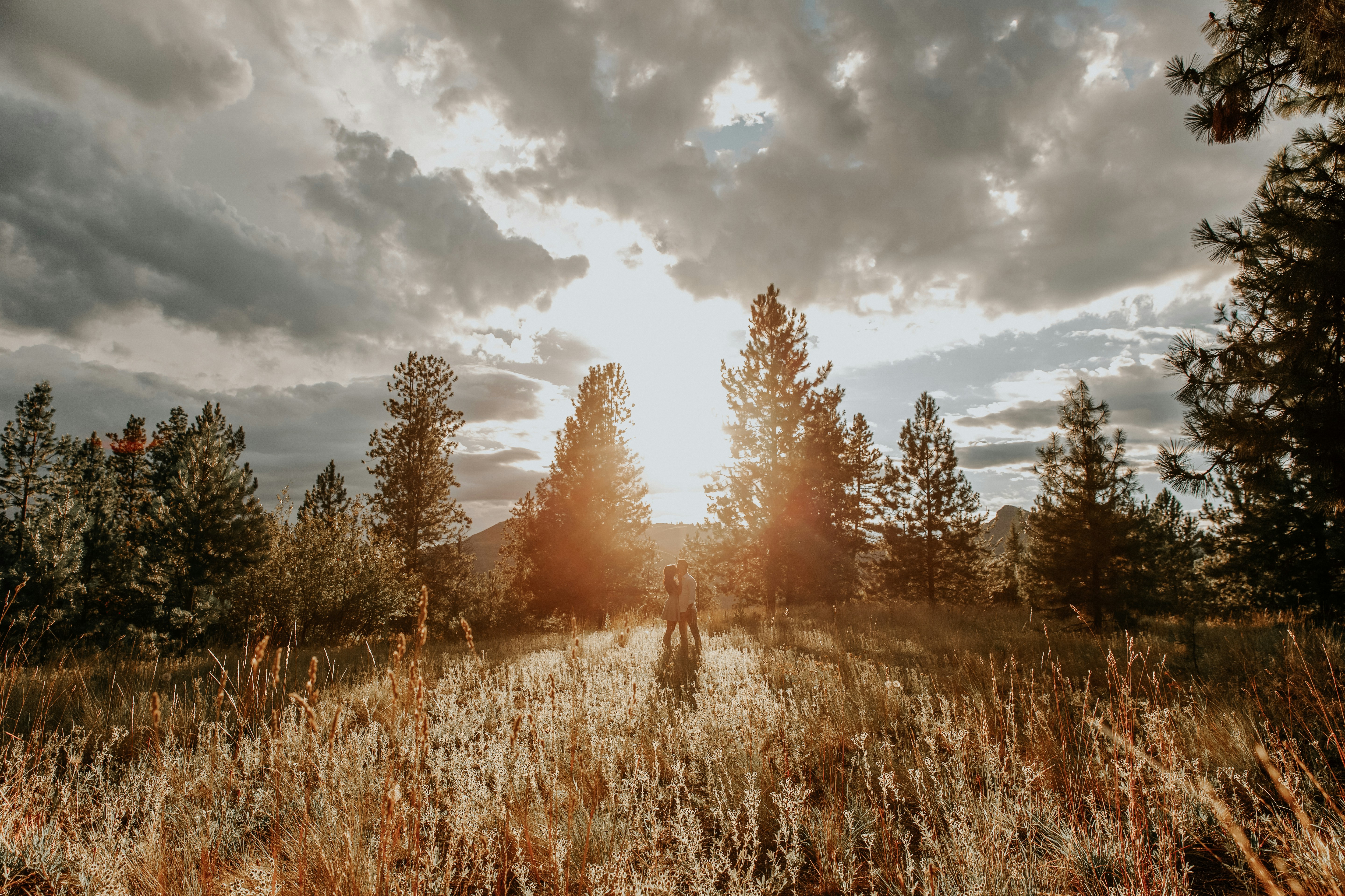 Photo by servetphotograph