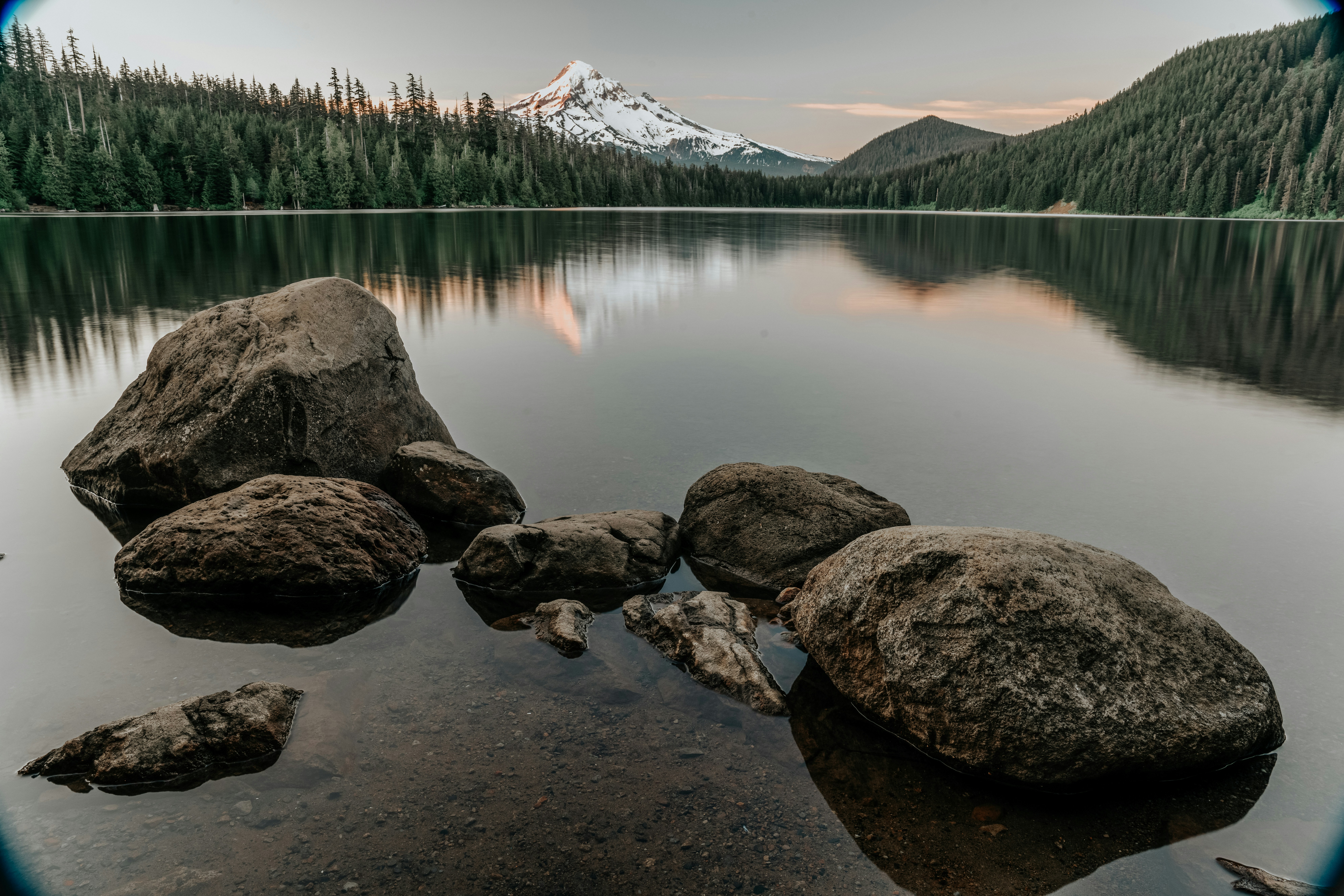 Photo by servetphotograph