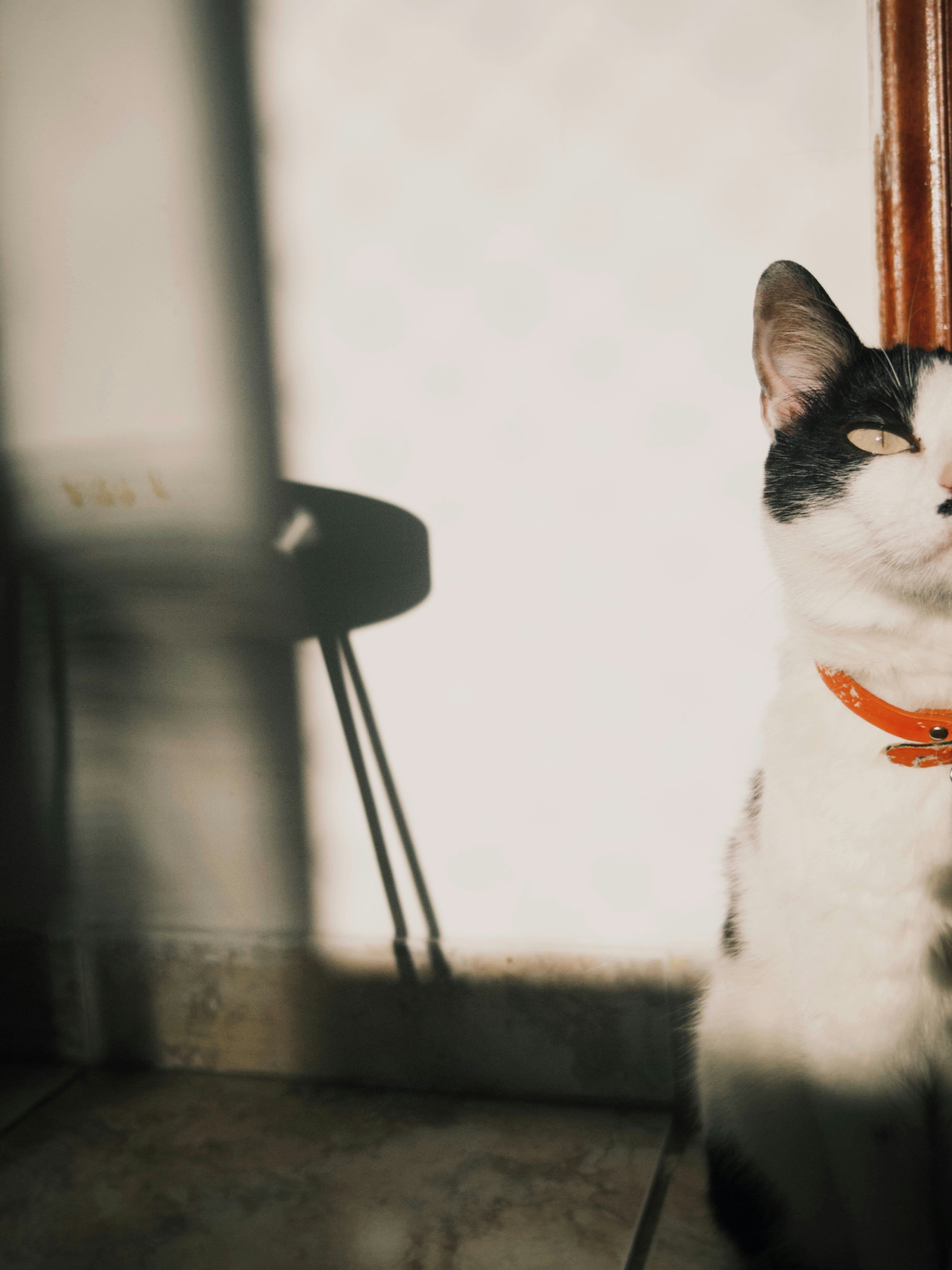 Photo by mariarobertacp