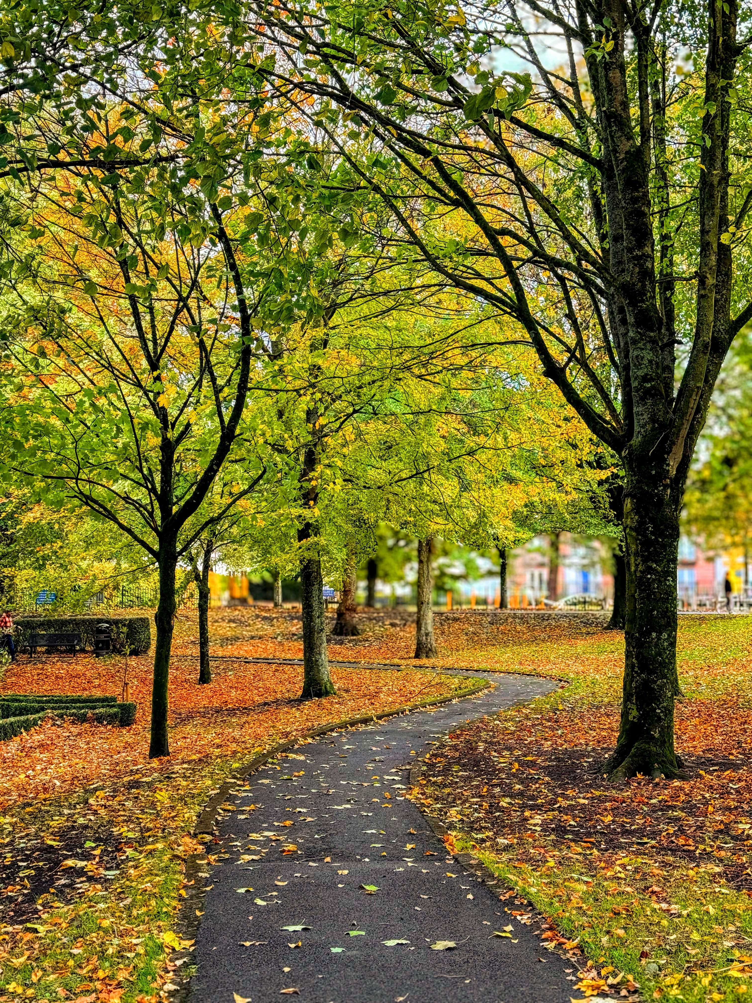 Photo by rahul_hari_das